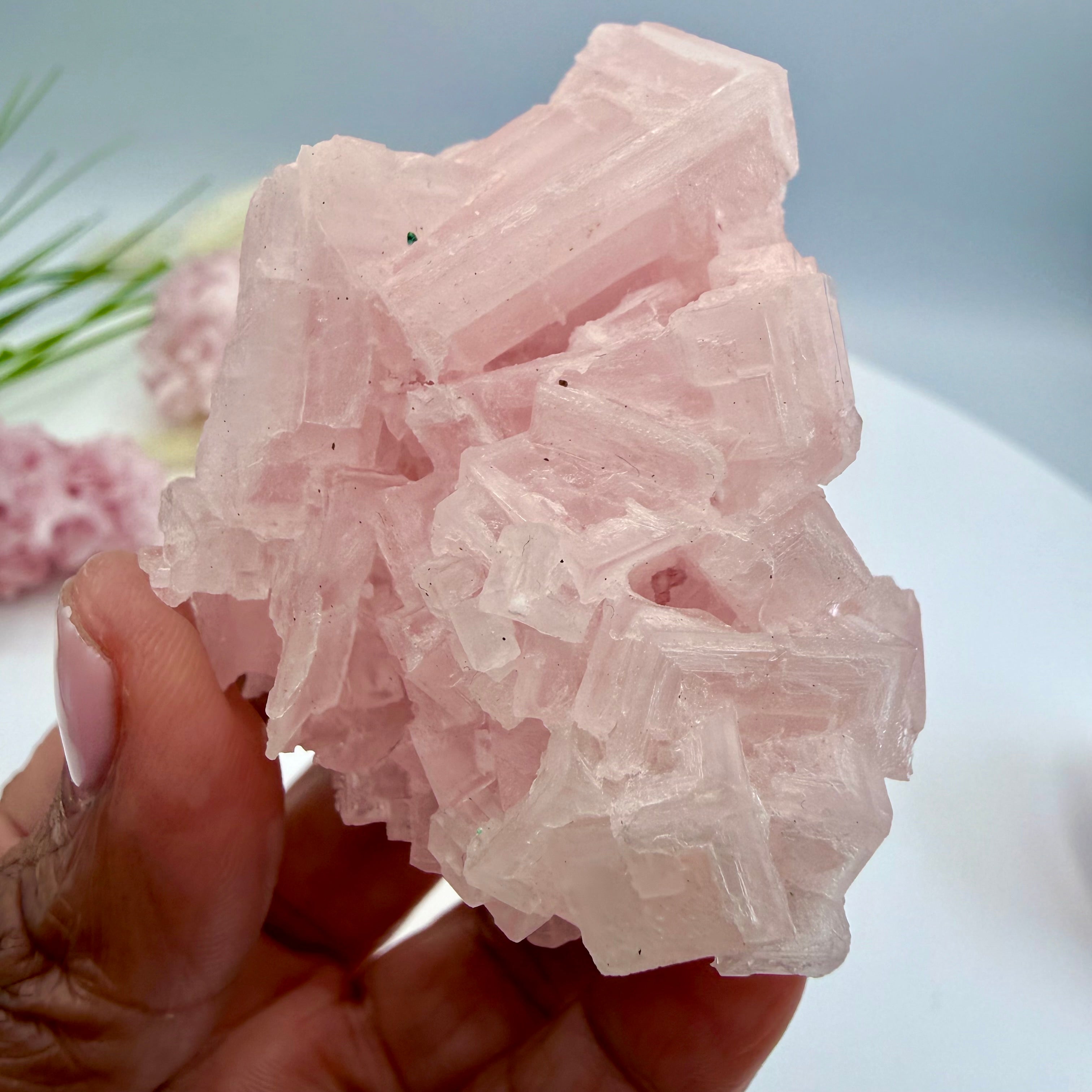 Pink Halite