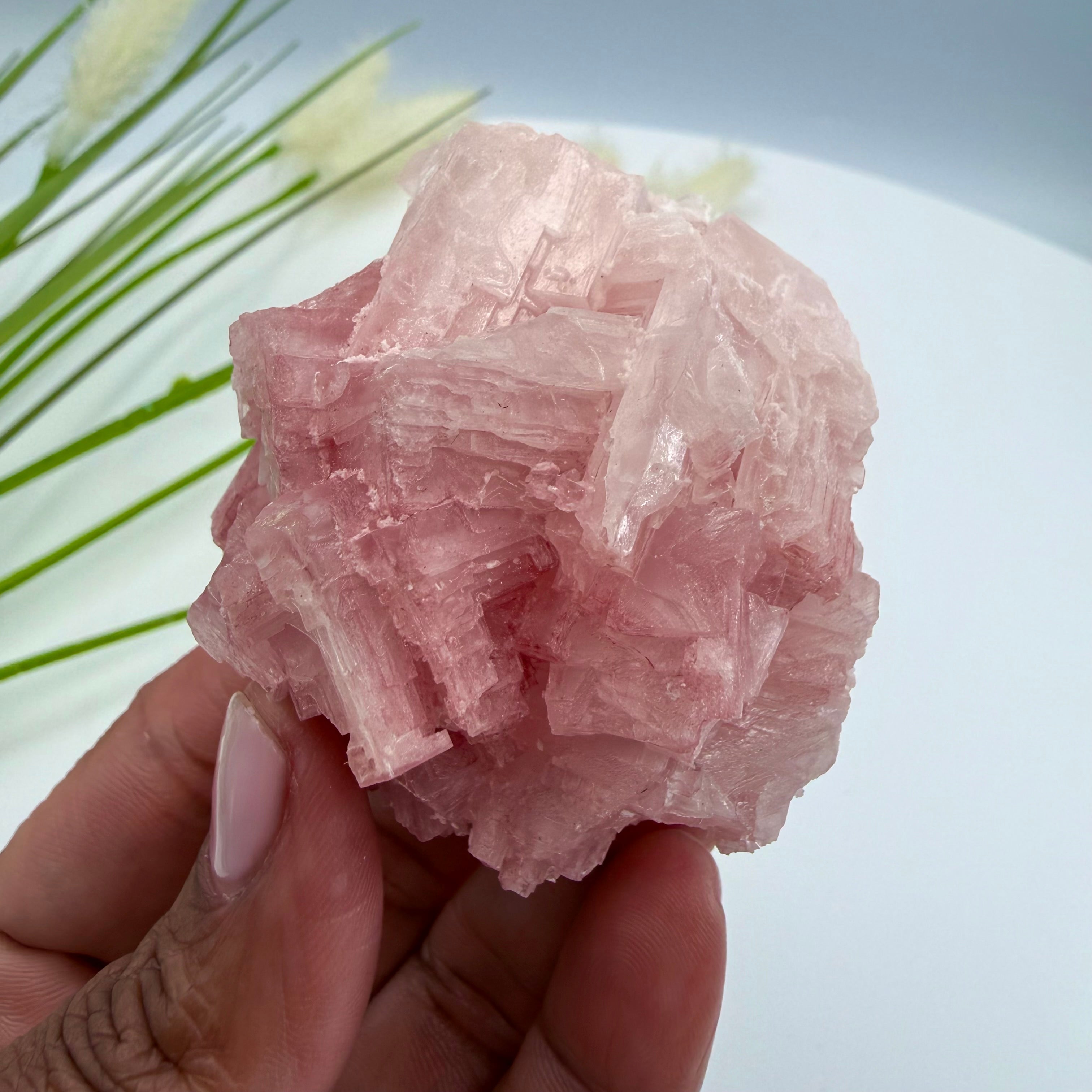 Pink Halite