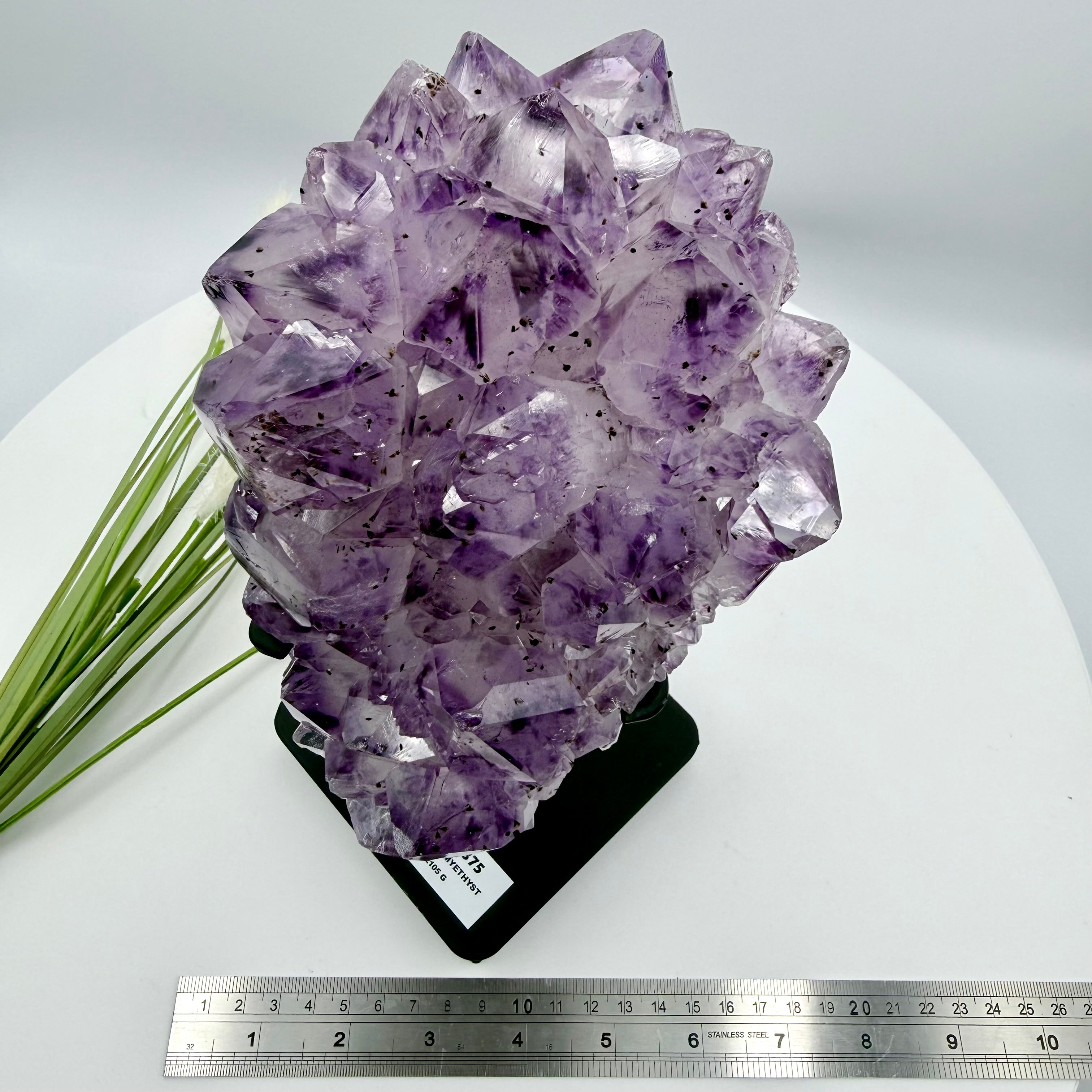 Amethyst Cluster with Gold Goethite Fan Rutile