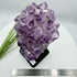 Amethyst Cluster with Gold Goethite Fan Rutile