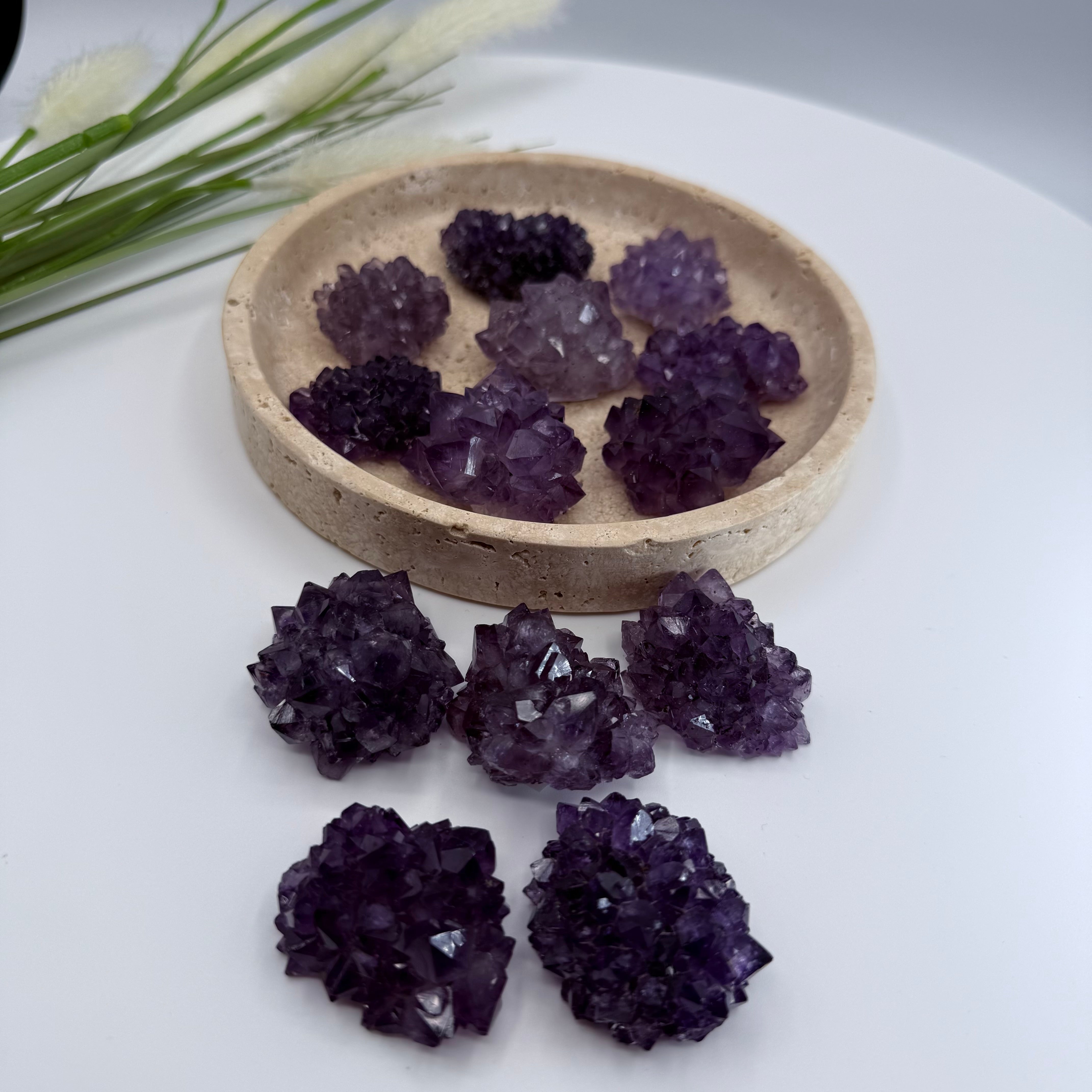 Uruguayan Amethyst Flower