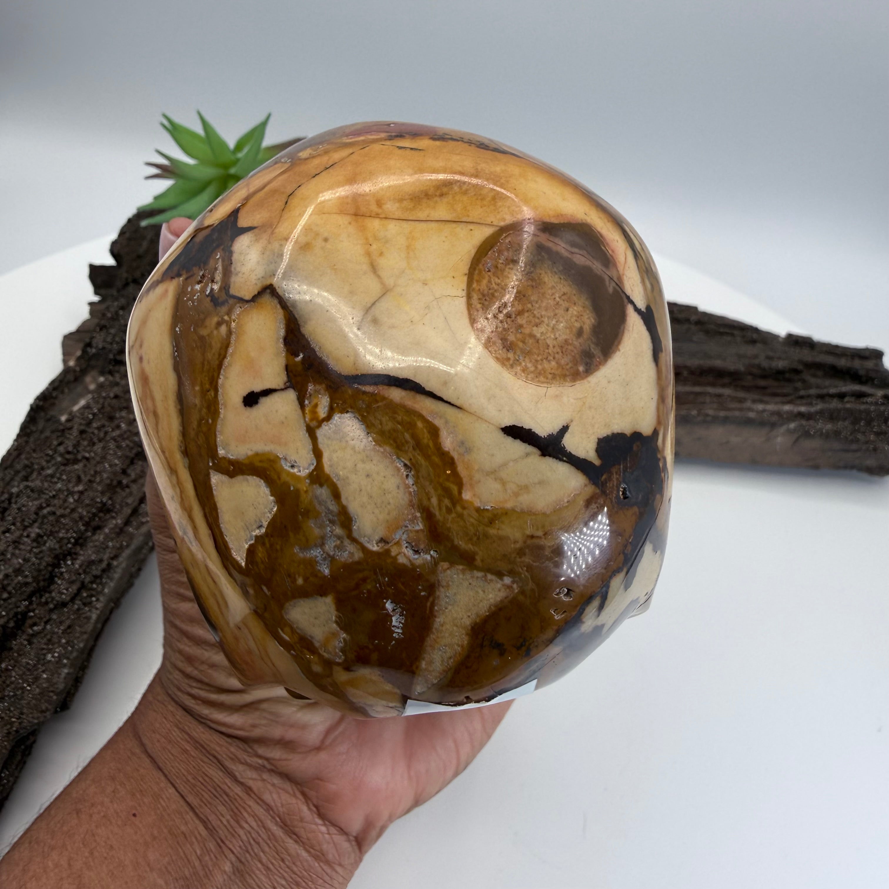 Luca Australian Outback Jasper Skull 5 inch [ KK195]