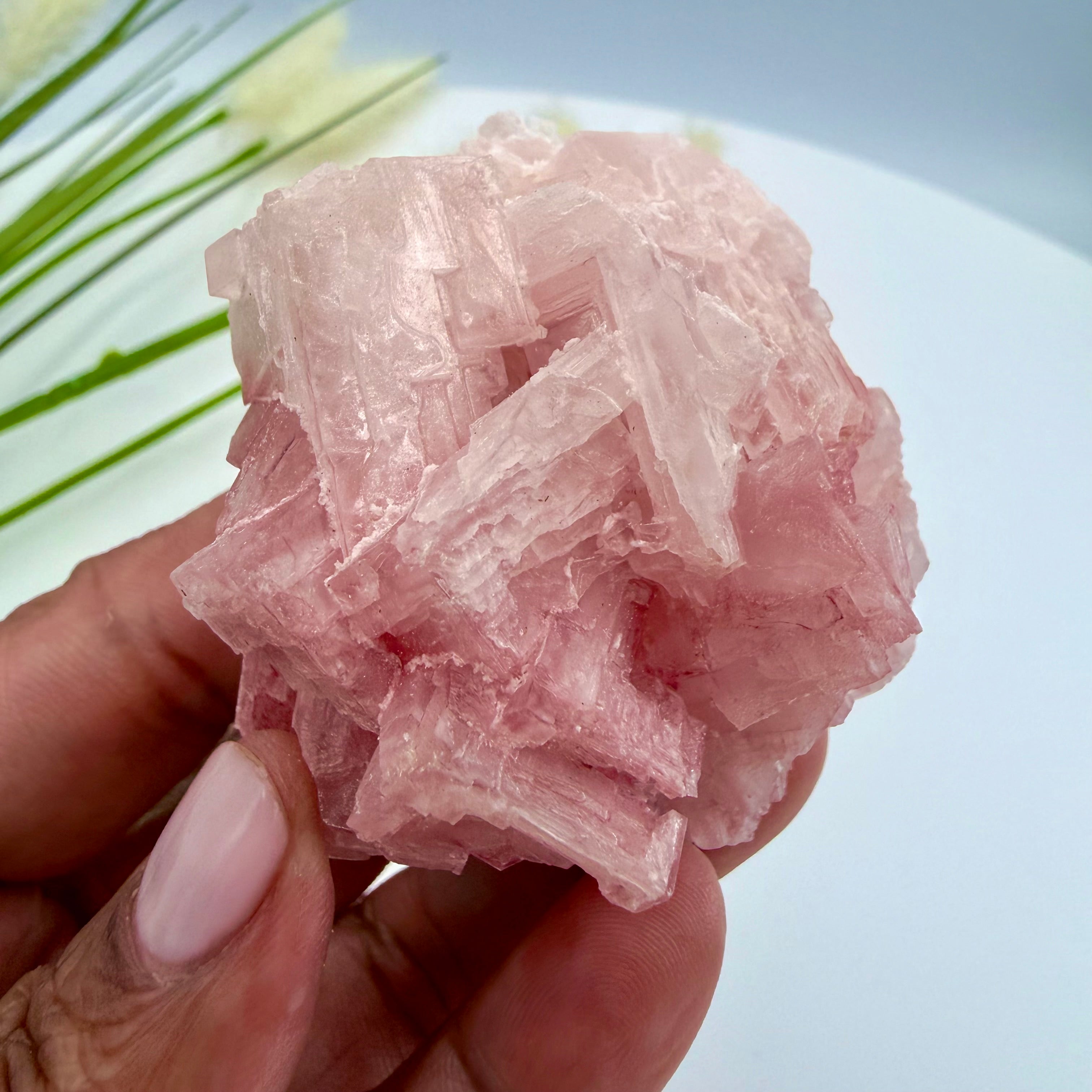 Pink Halite