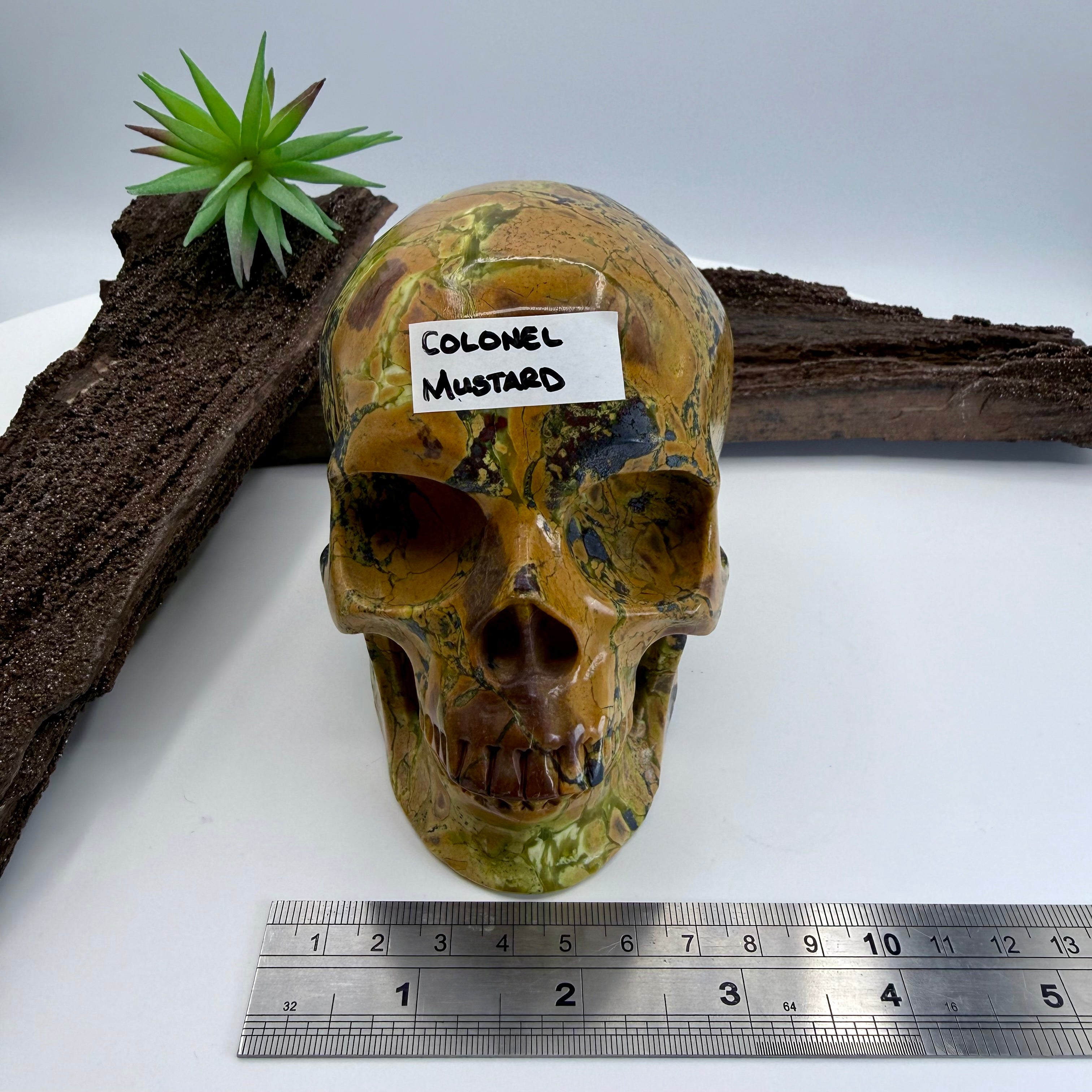 Colonel Mustard Hiso Jasper 5 inch Skull [JU195]