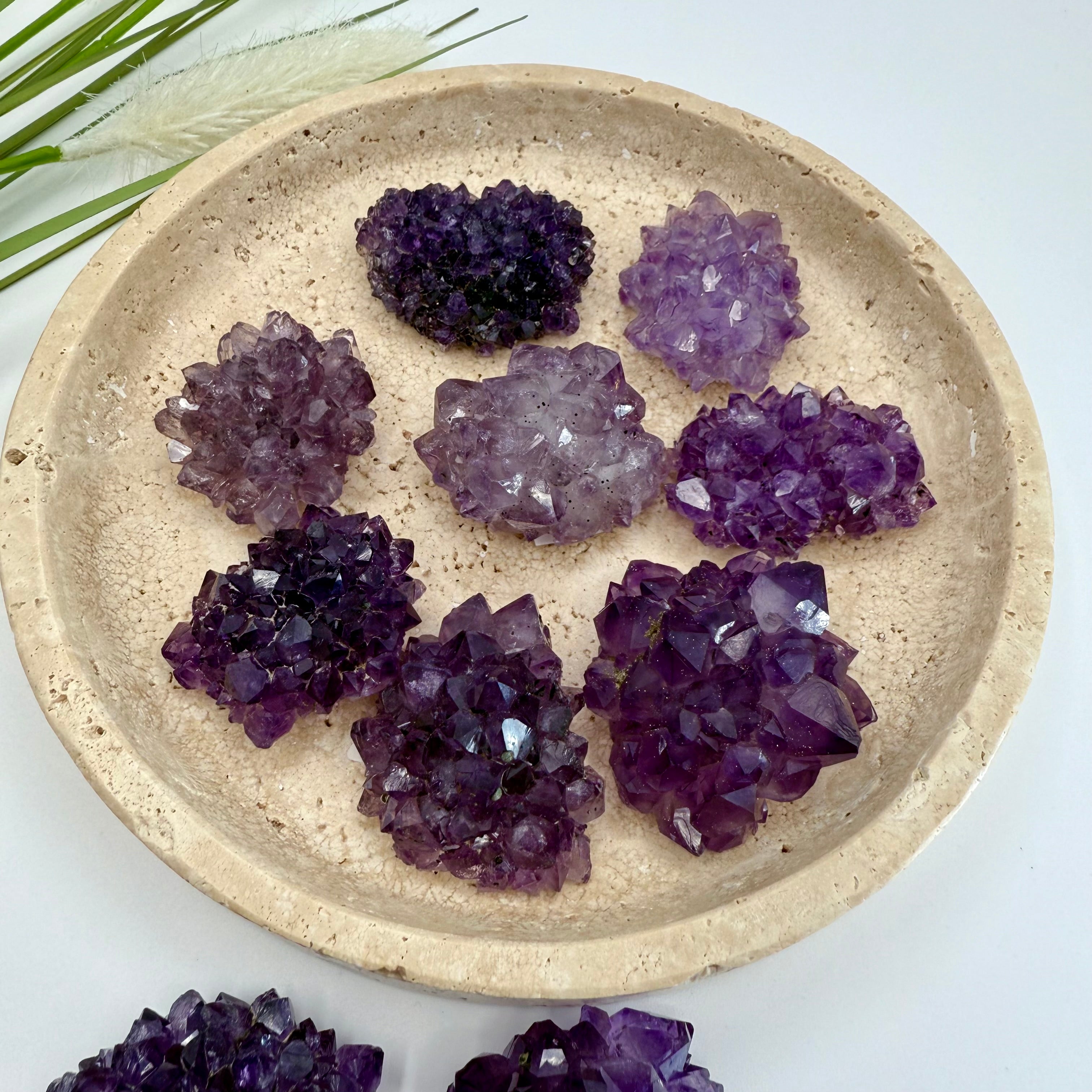 Uruguayan Amethyst Flower