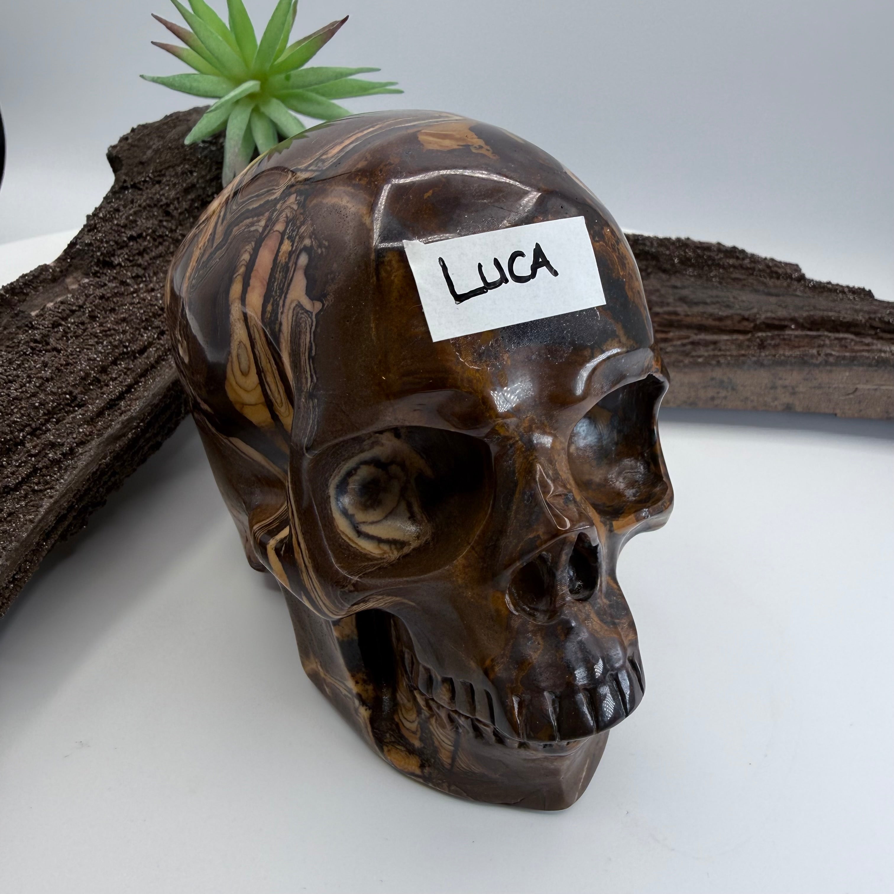 Luca Australian Outback Jasper Skull 5 inch [ KK195]