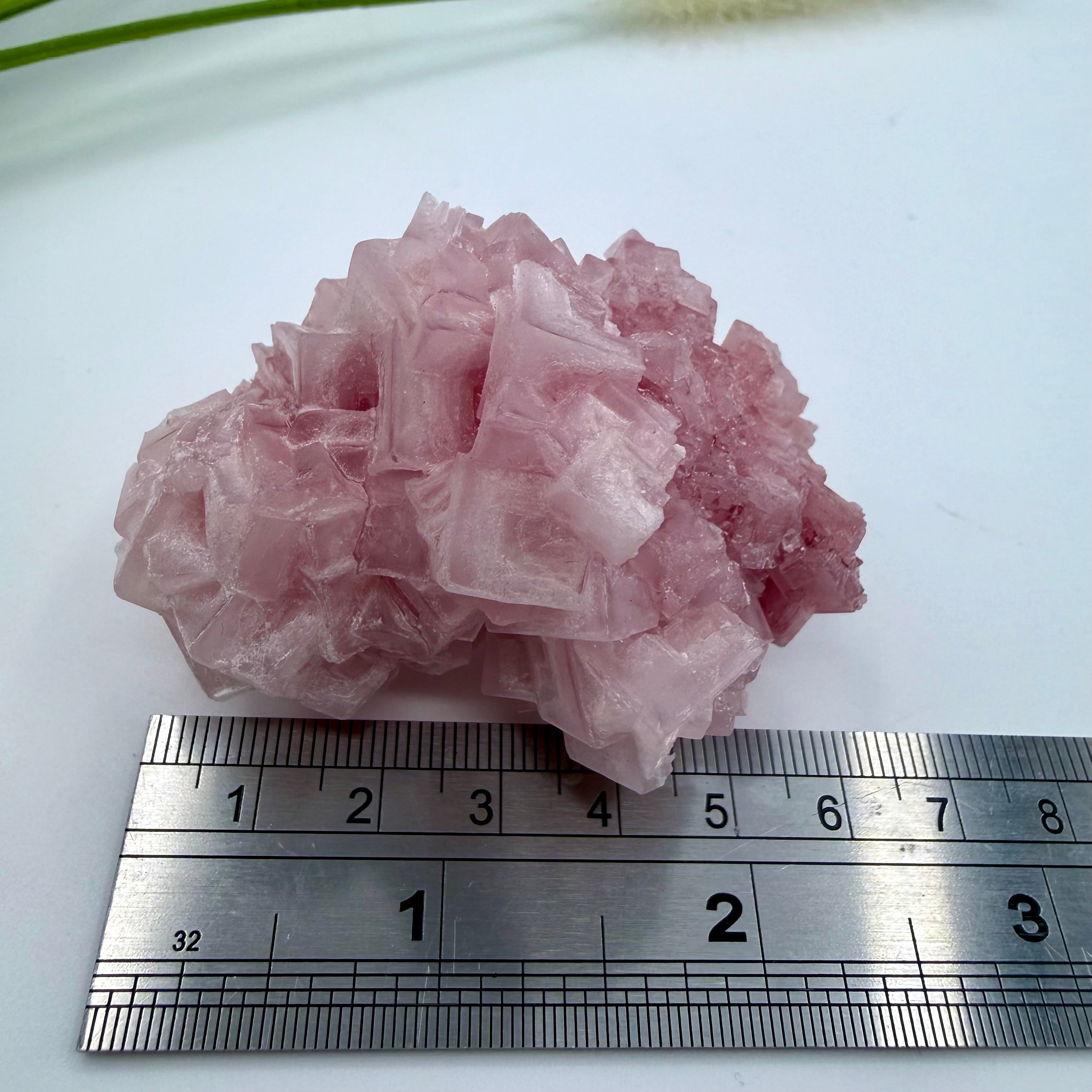 Pink Halite