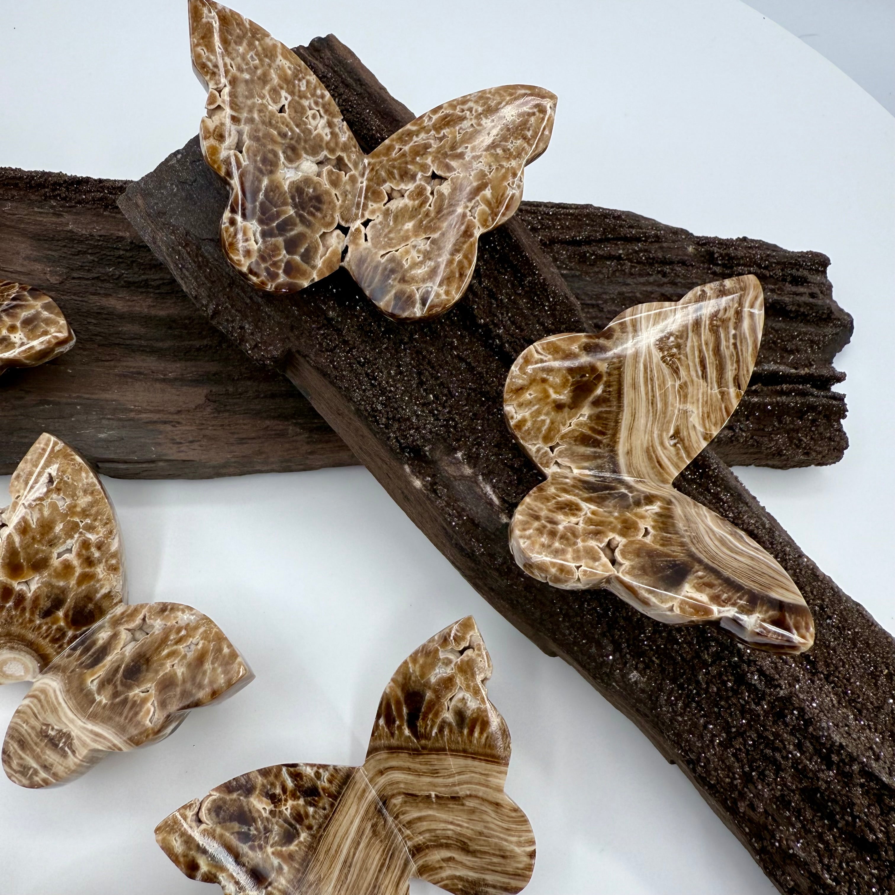 Chocolate Calcite Butterfly