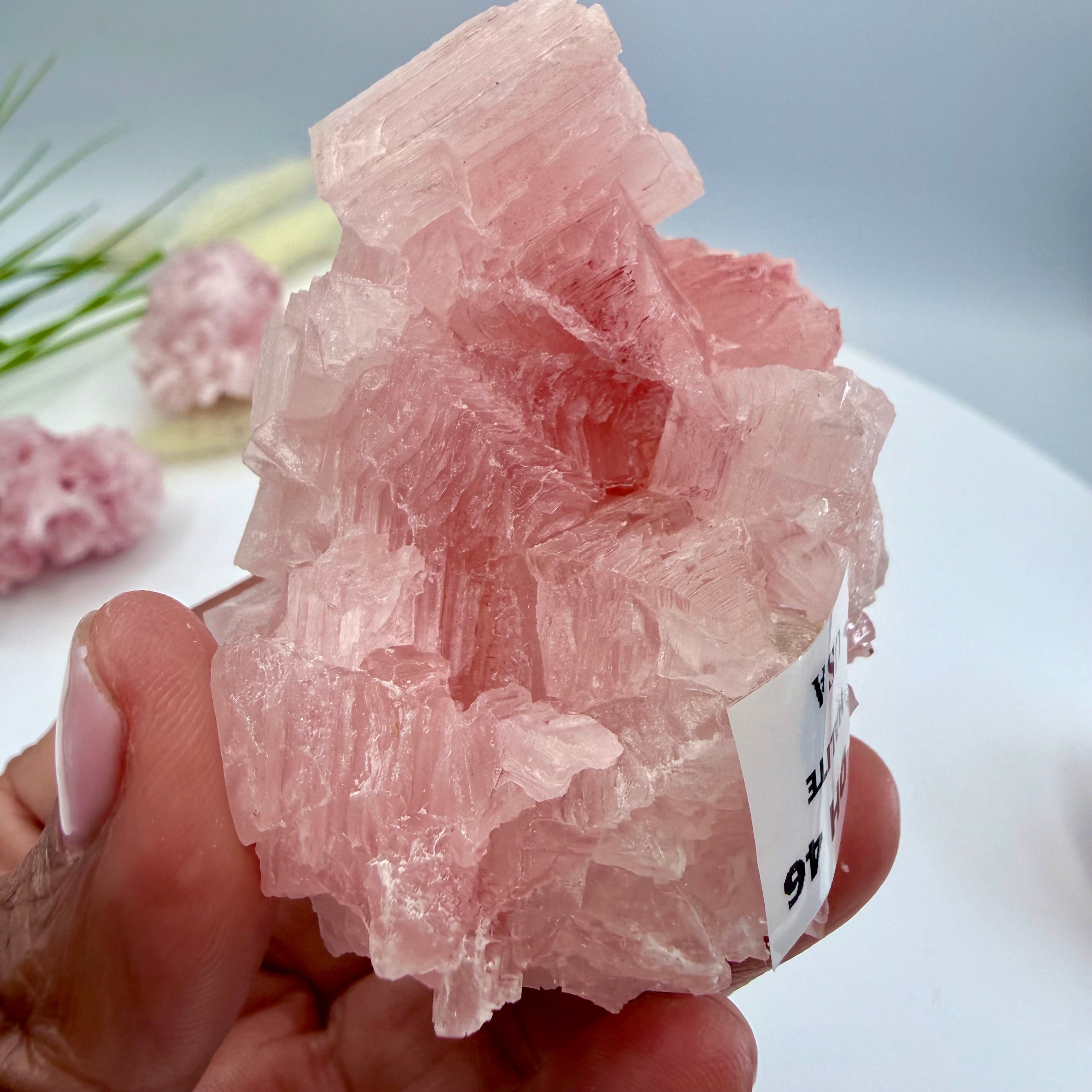 Pink Halite