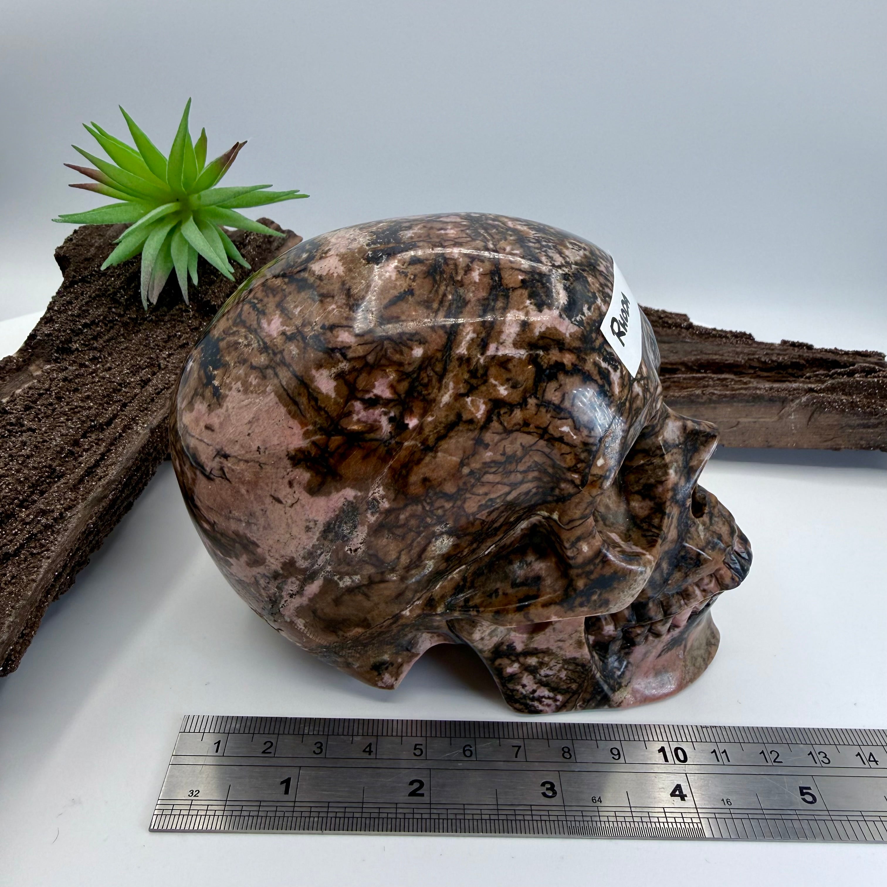 Rhoda Rhodonite 5inch Skull [JY169]