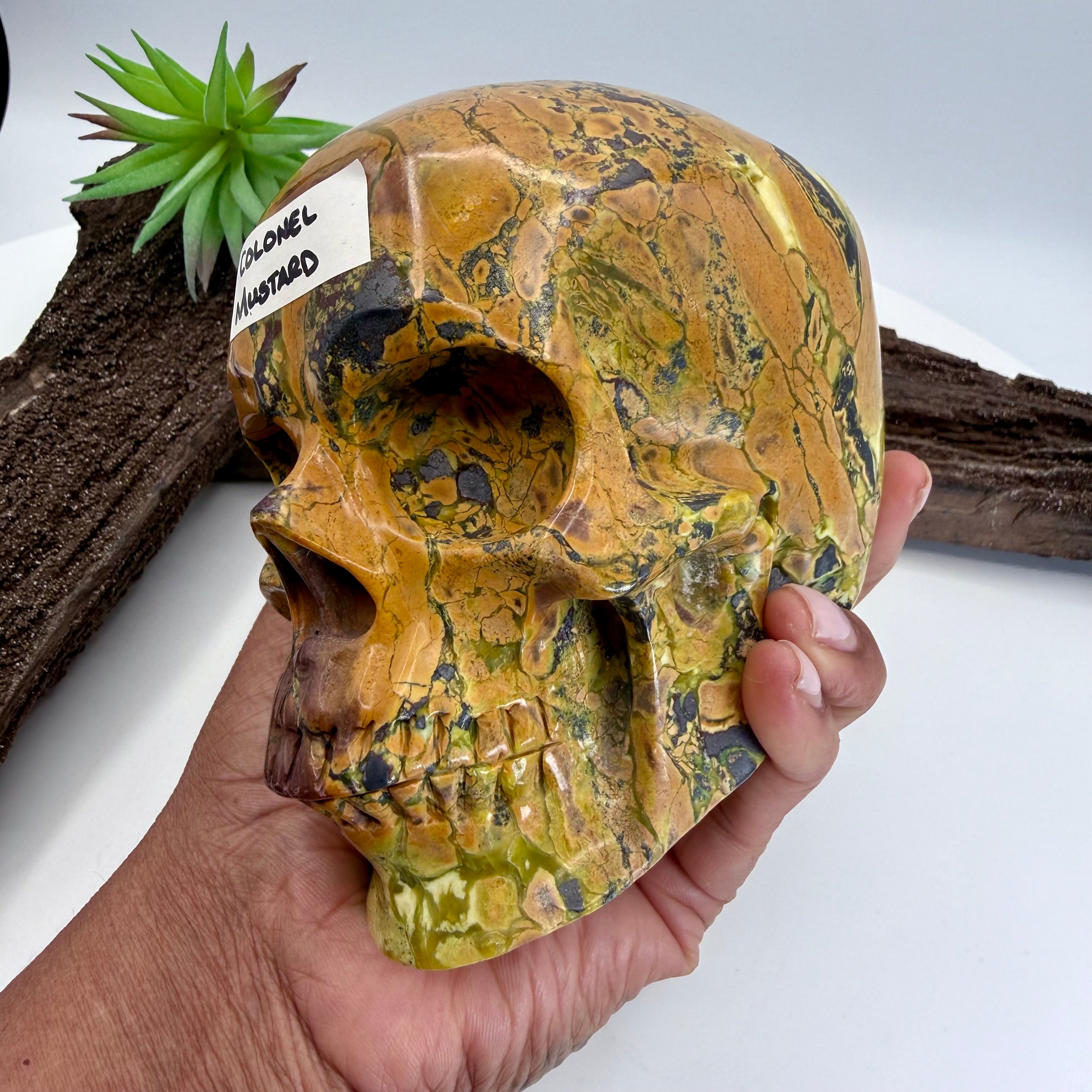 Colonel Mustard Hiso Jasper 5 inch Skull [JU195]