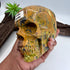 Colonel Mustard Hiso Jasper 5 inch Skull [JU195]