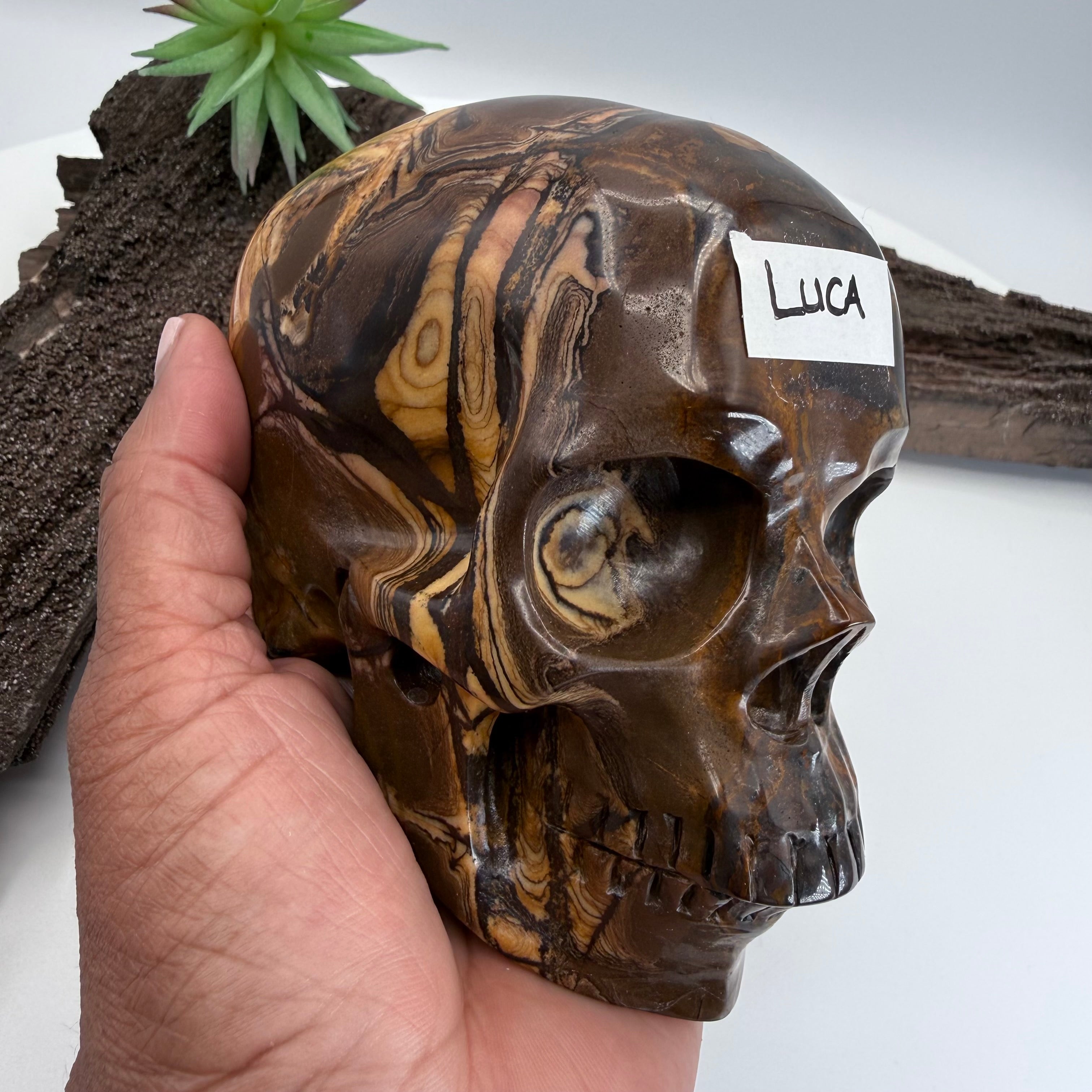 Luca Australian Outback Jasper Skull 5 inch [ KK195]