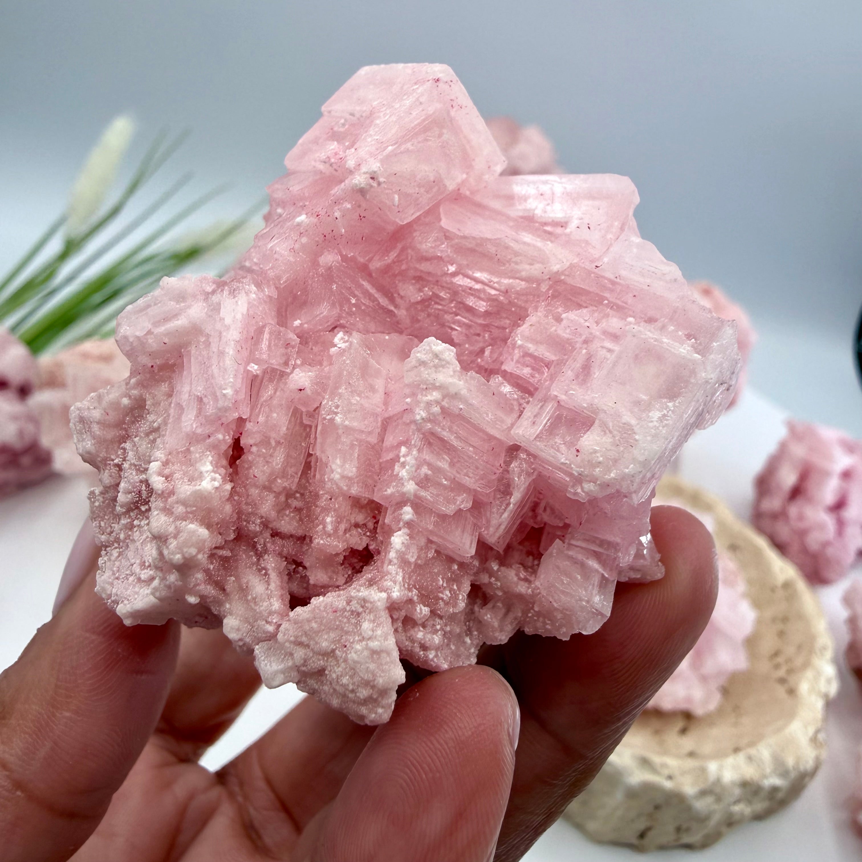 Pink Halite