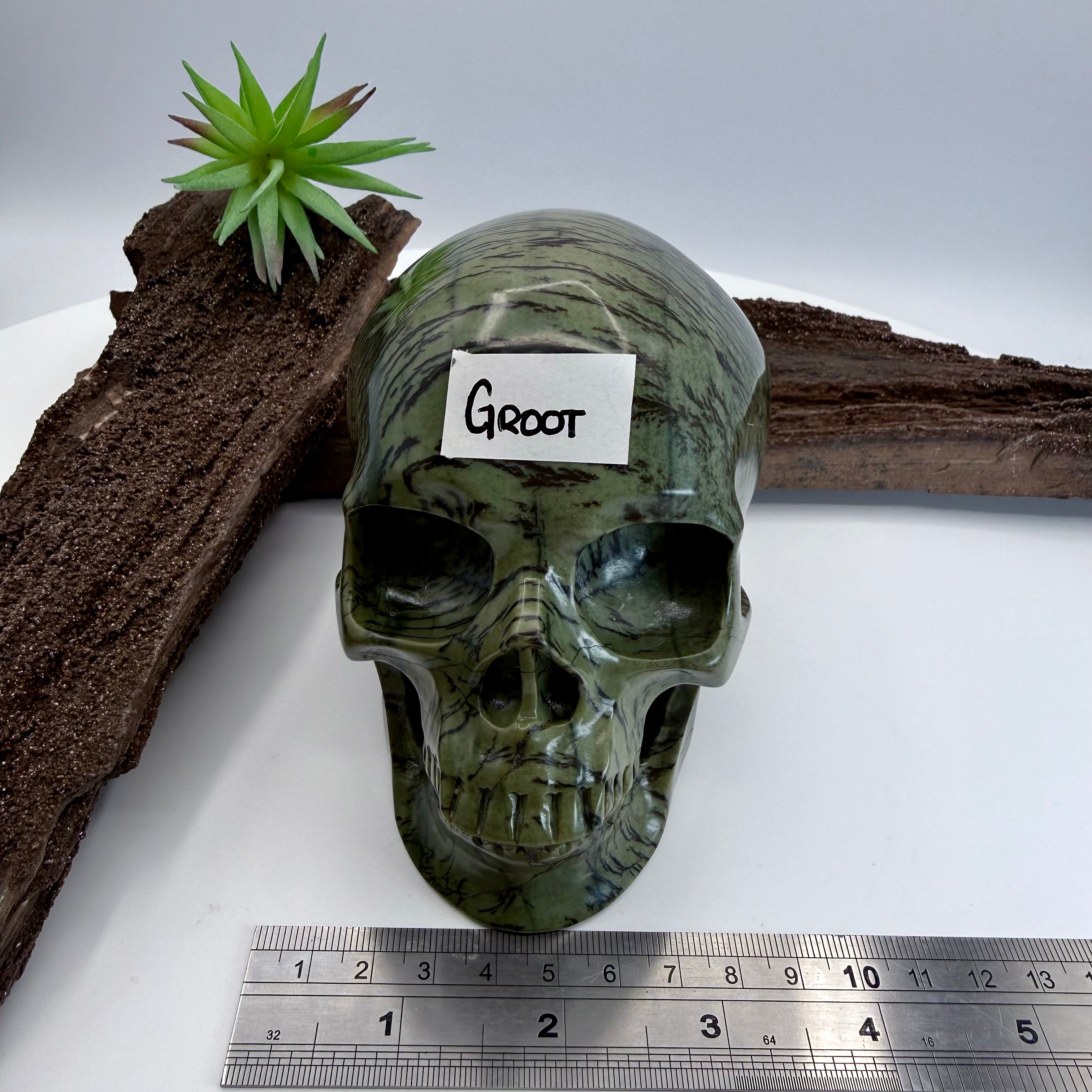 Groot Dentritic Australian Green Opal Skull 5inch  [KE175]