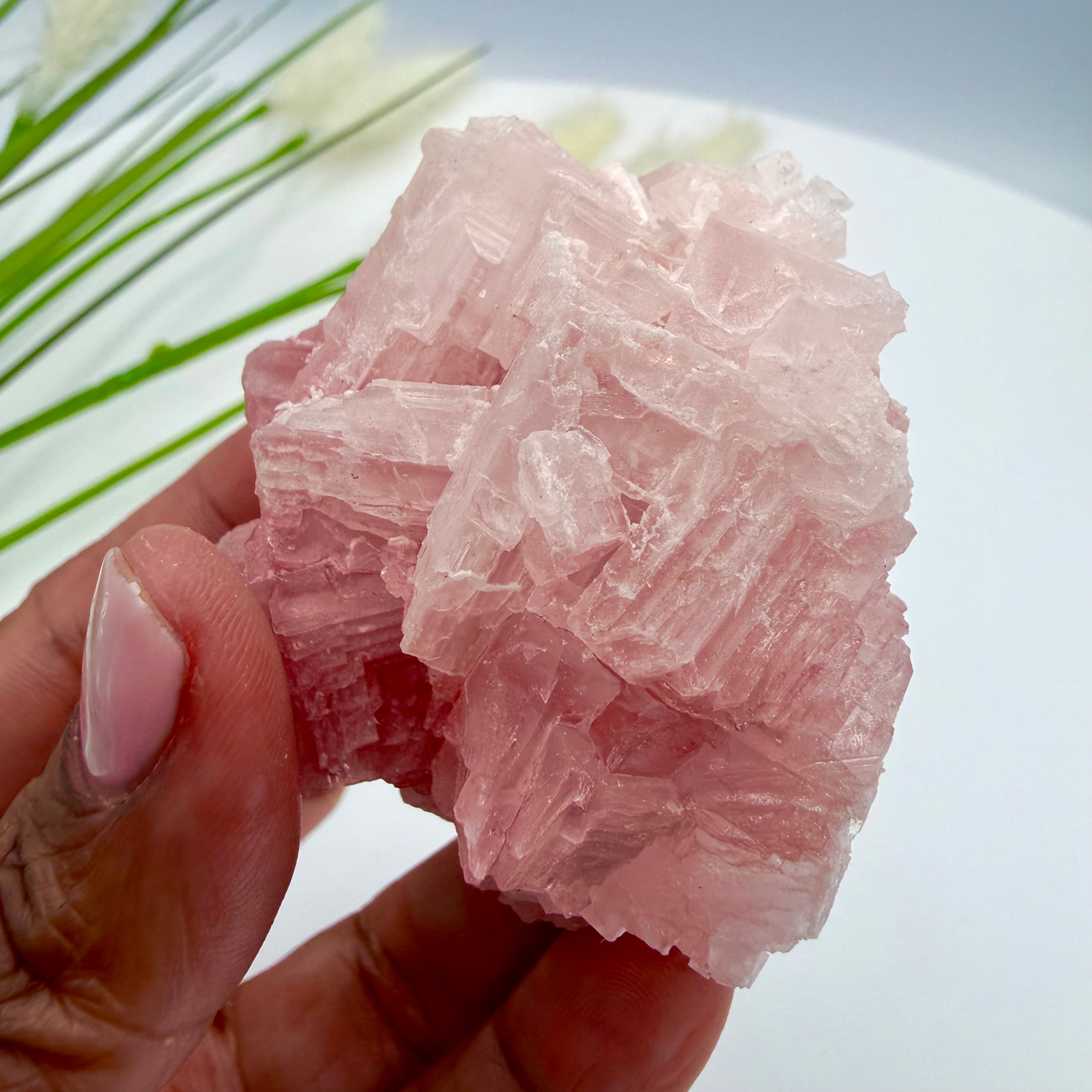 Pink Halite