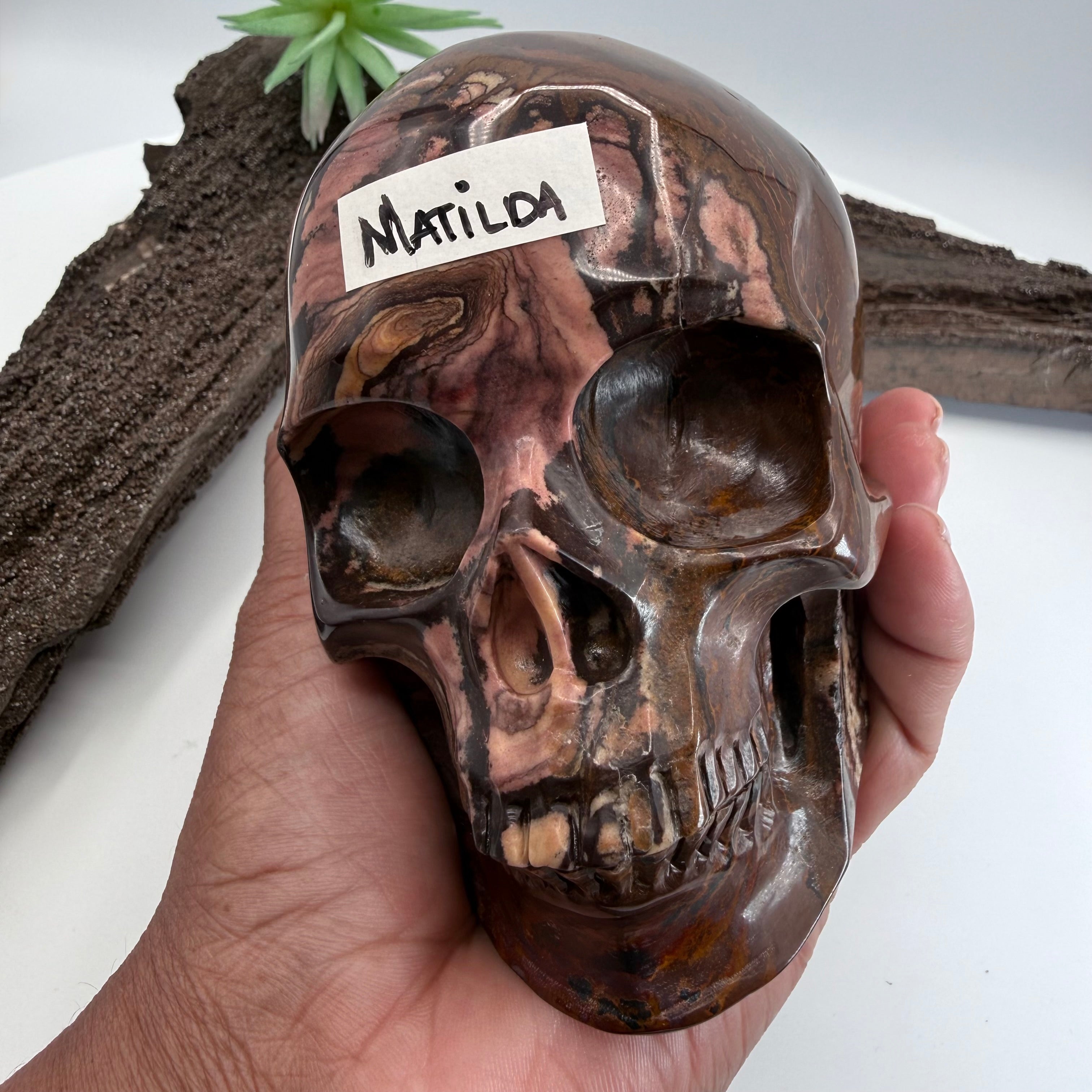Matilda Australian Outback Jasper 5inch Skull [KJ189]