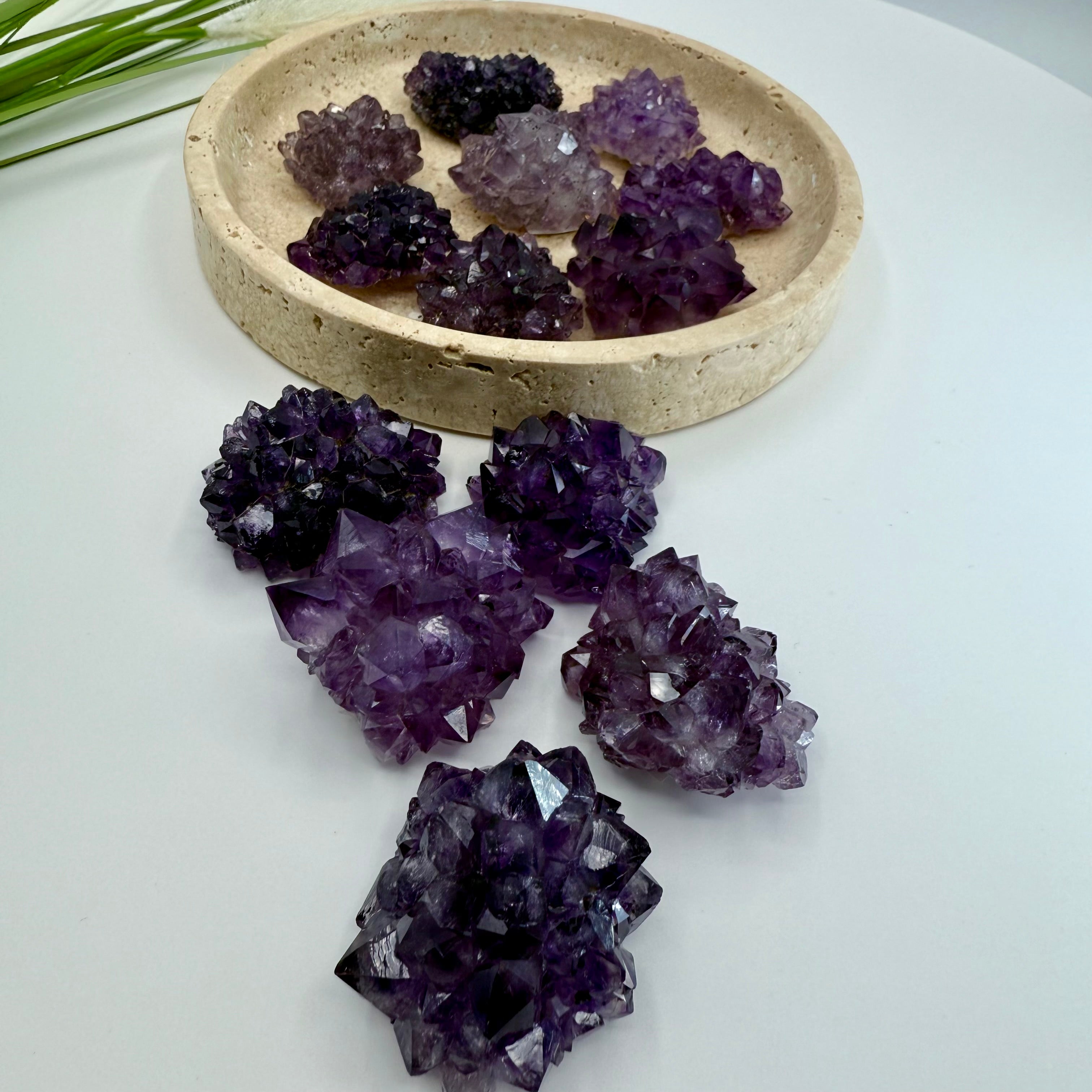 Uruguayan Amethyst Flower