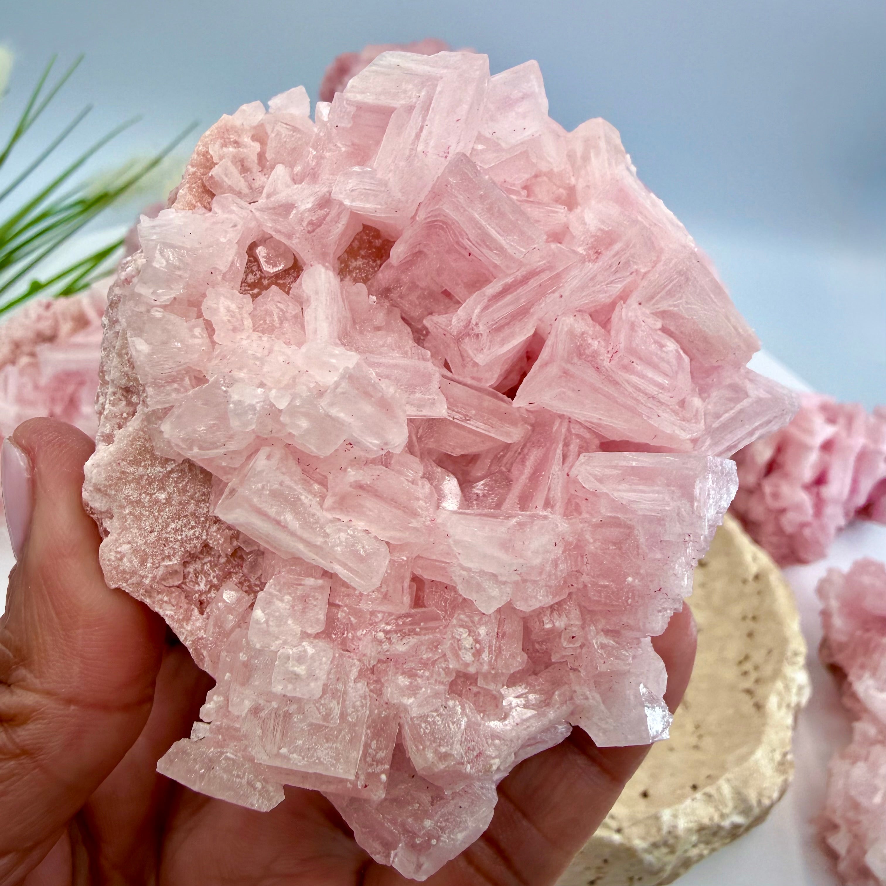 Pink Halite