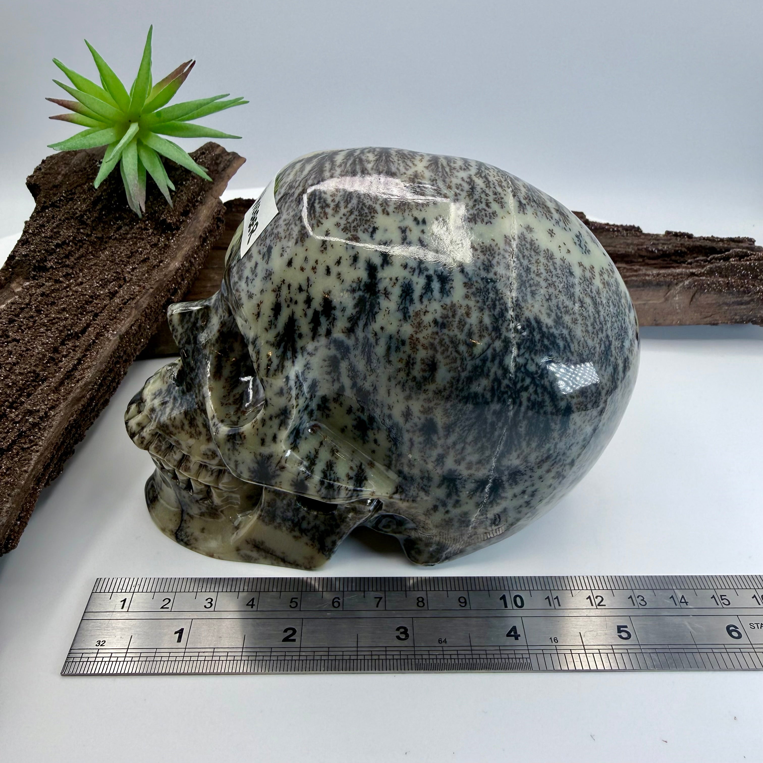 Webber Australia Green Dentritic Opal 5inch [