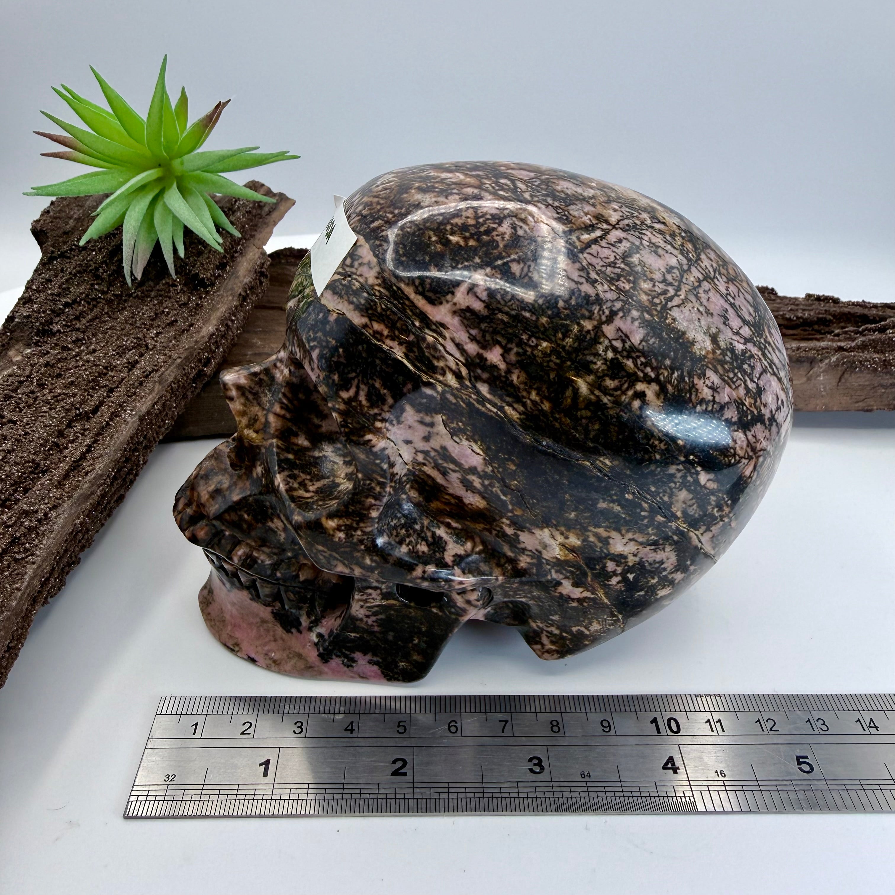Rhoda Rhodonite 5inch Skull [JY169]