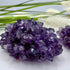Uruguayan Amethyst Flower