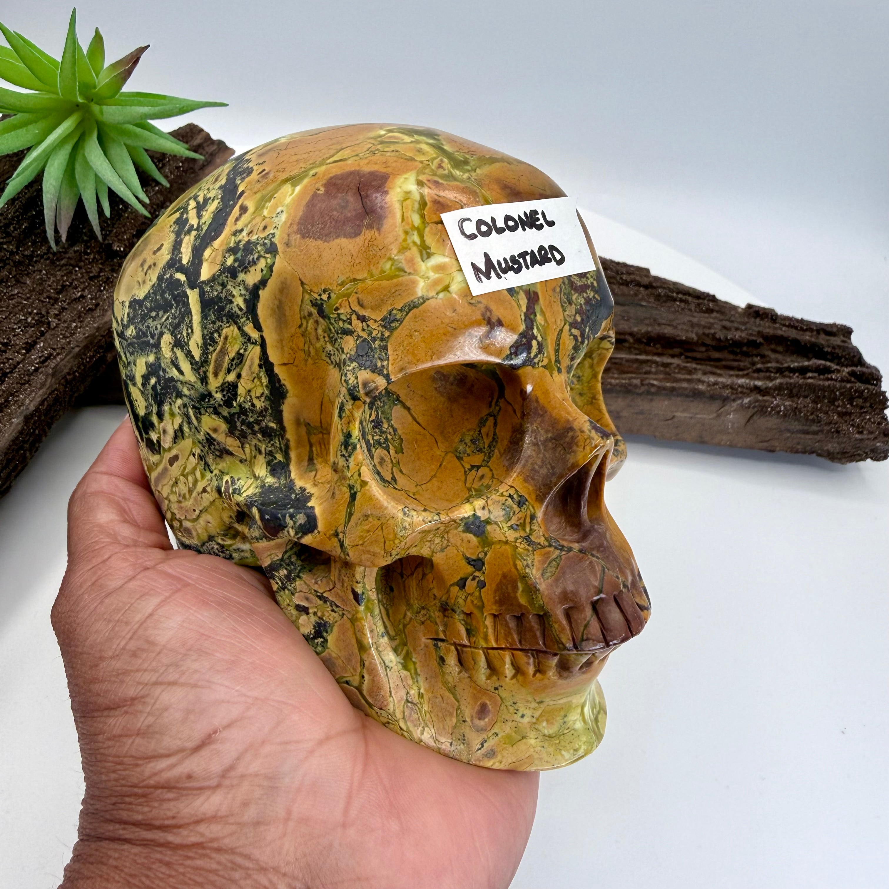 Colonel Mustard Hiso Jasper 5 inch Skull [JU195]