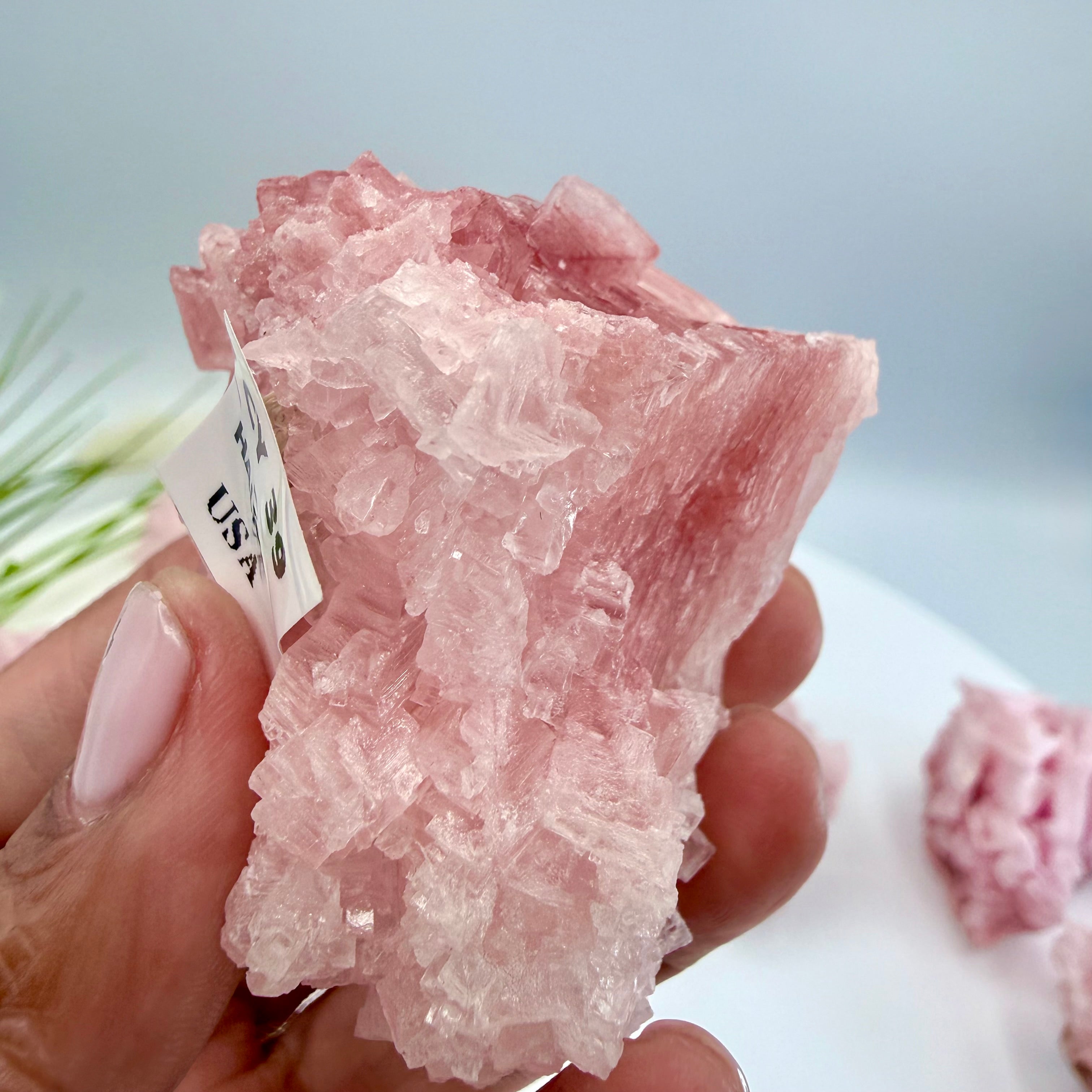 Pink Halite