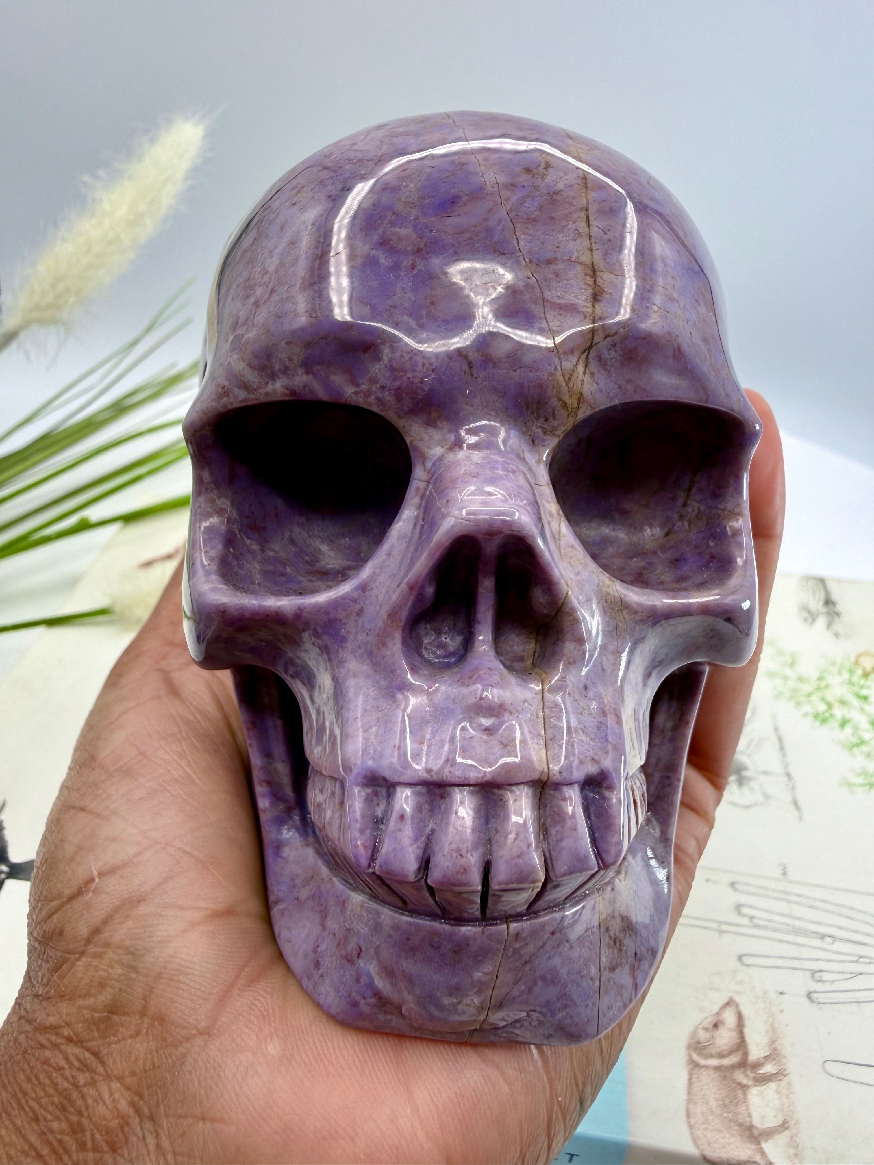 Turkiyenite Skull 5inch (Very Rare Turkish Lavender Jade) [SP636]