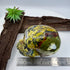 Jagger Hiso Jasper 5 inch Skull
