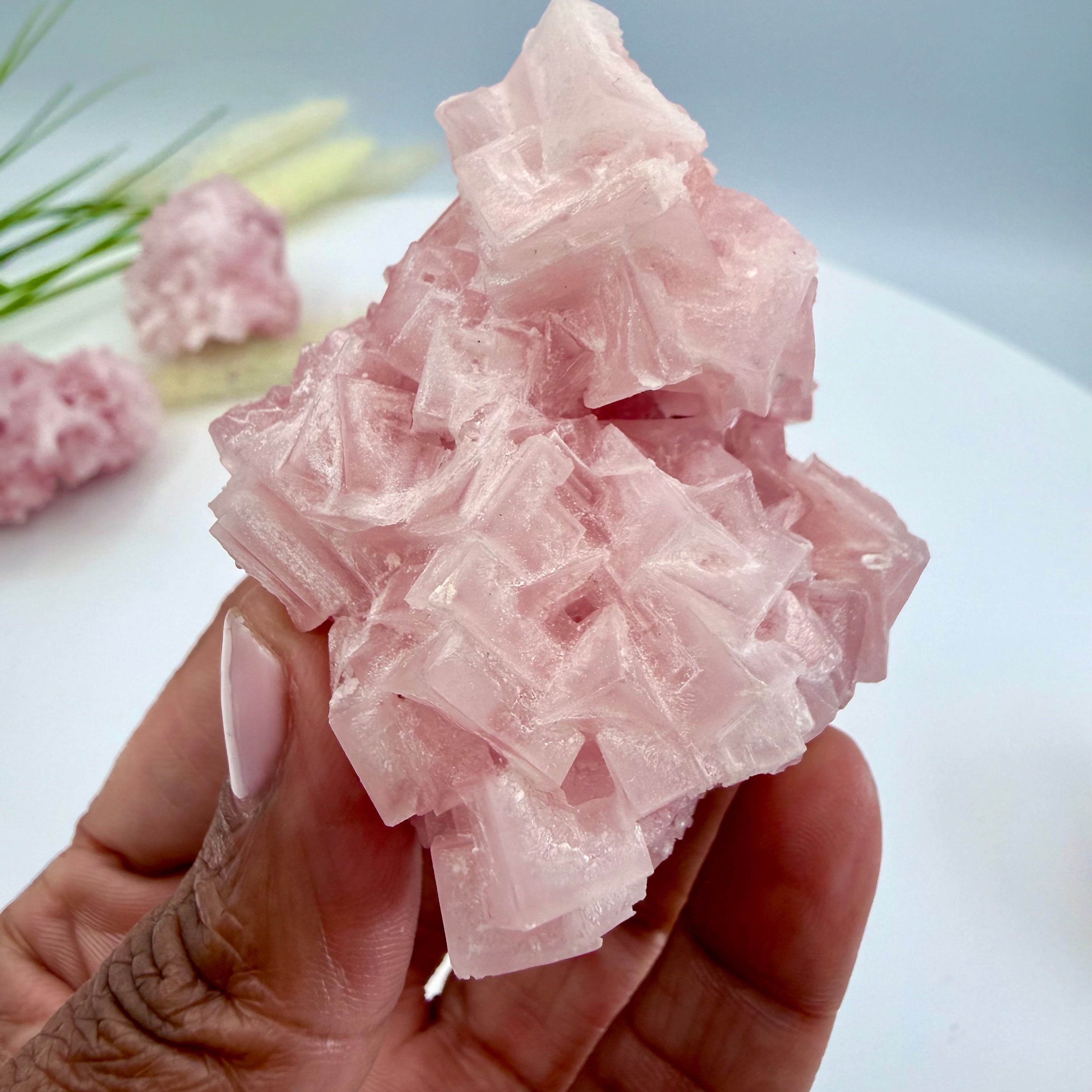 Pink Halite