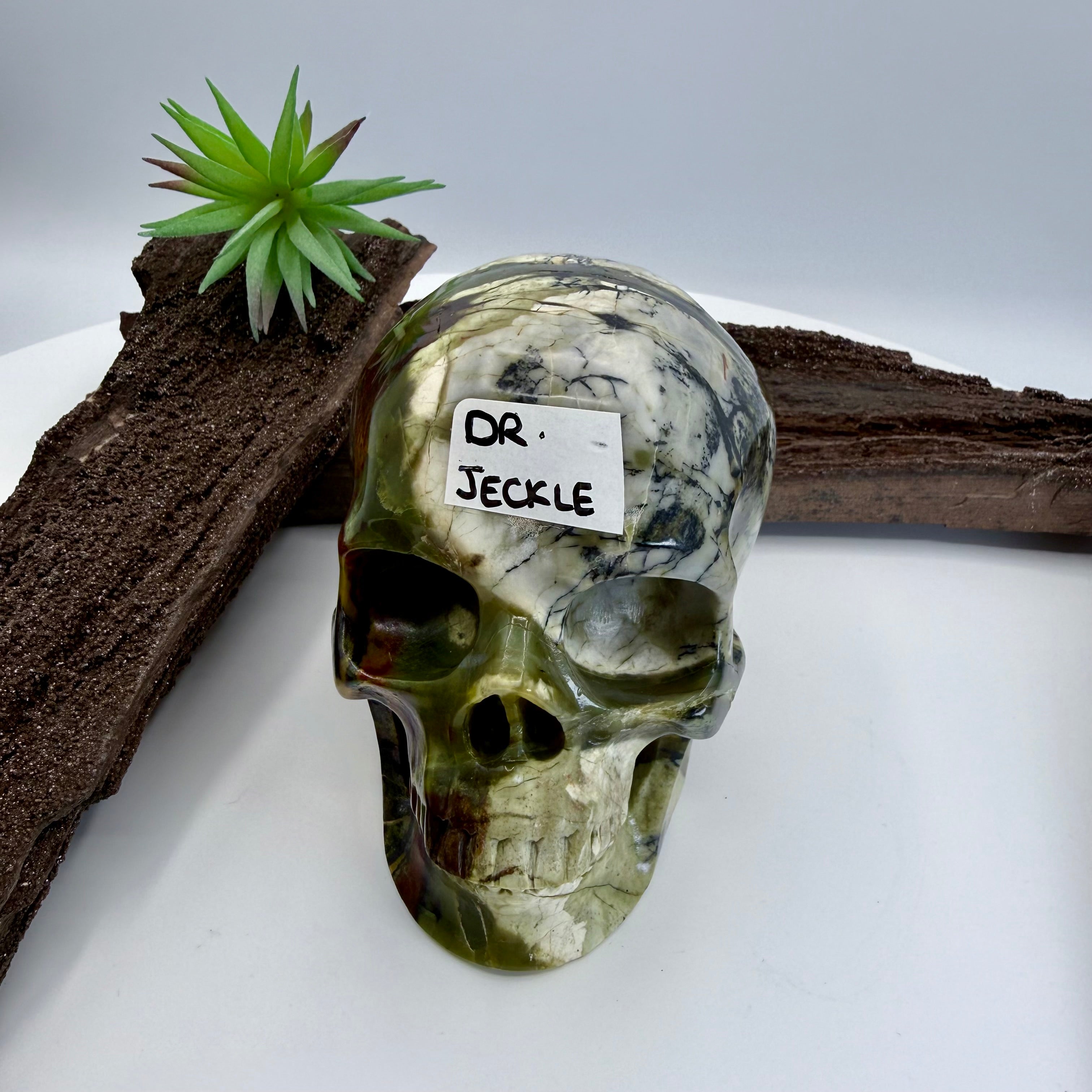 Dr Jeckle Hiso Jasper 5inch Skull [KB244]