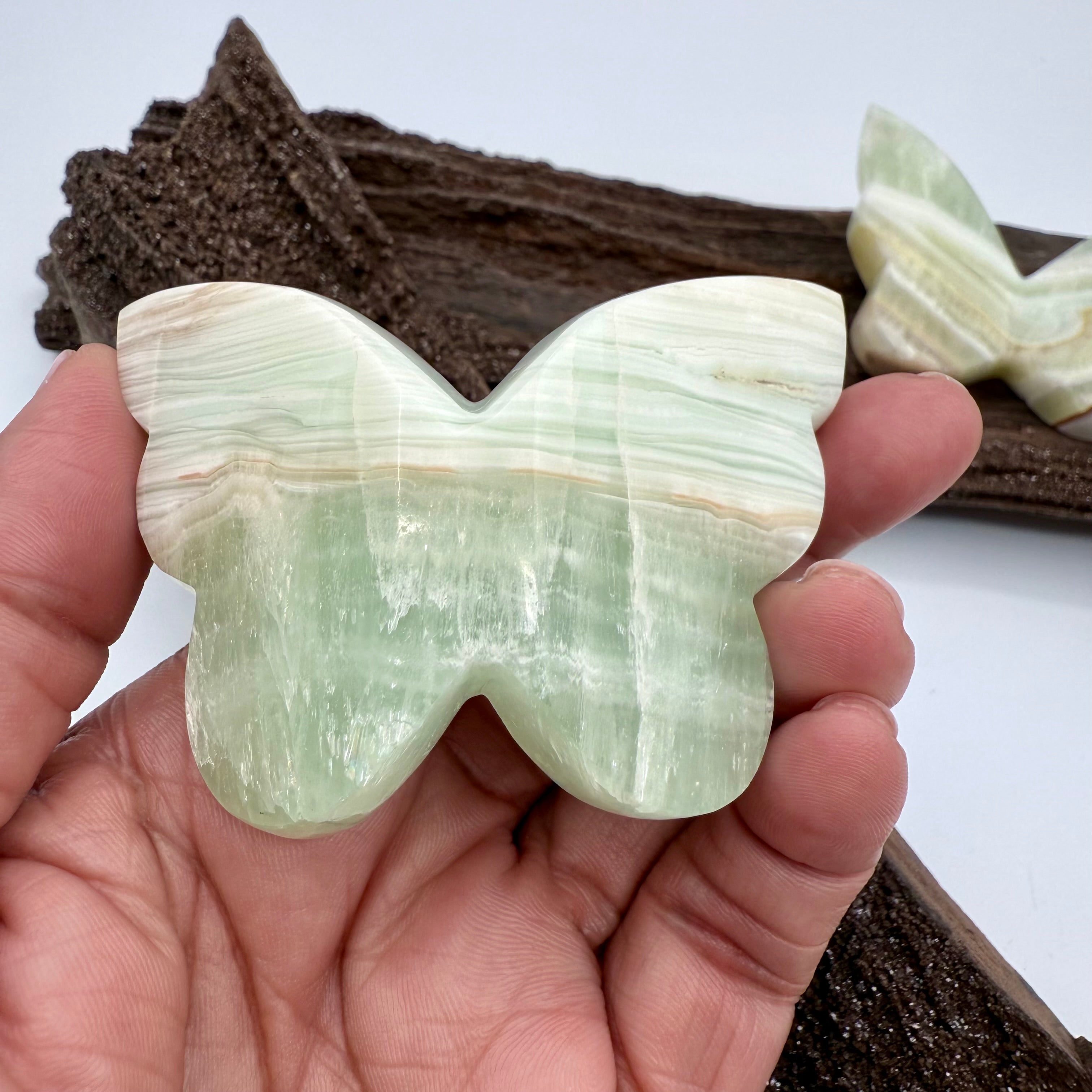 Carribean Calcite Butterfly