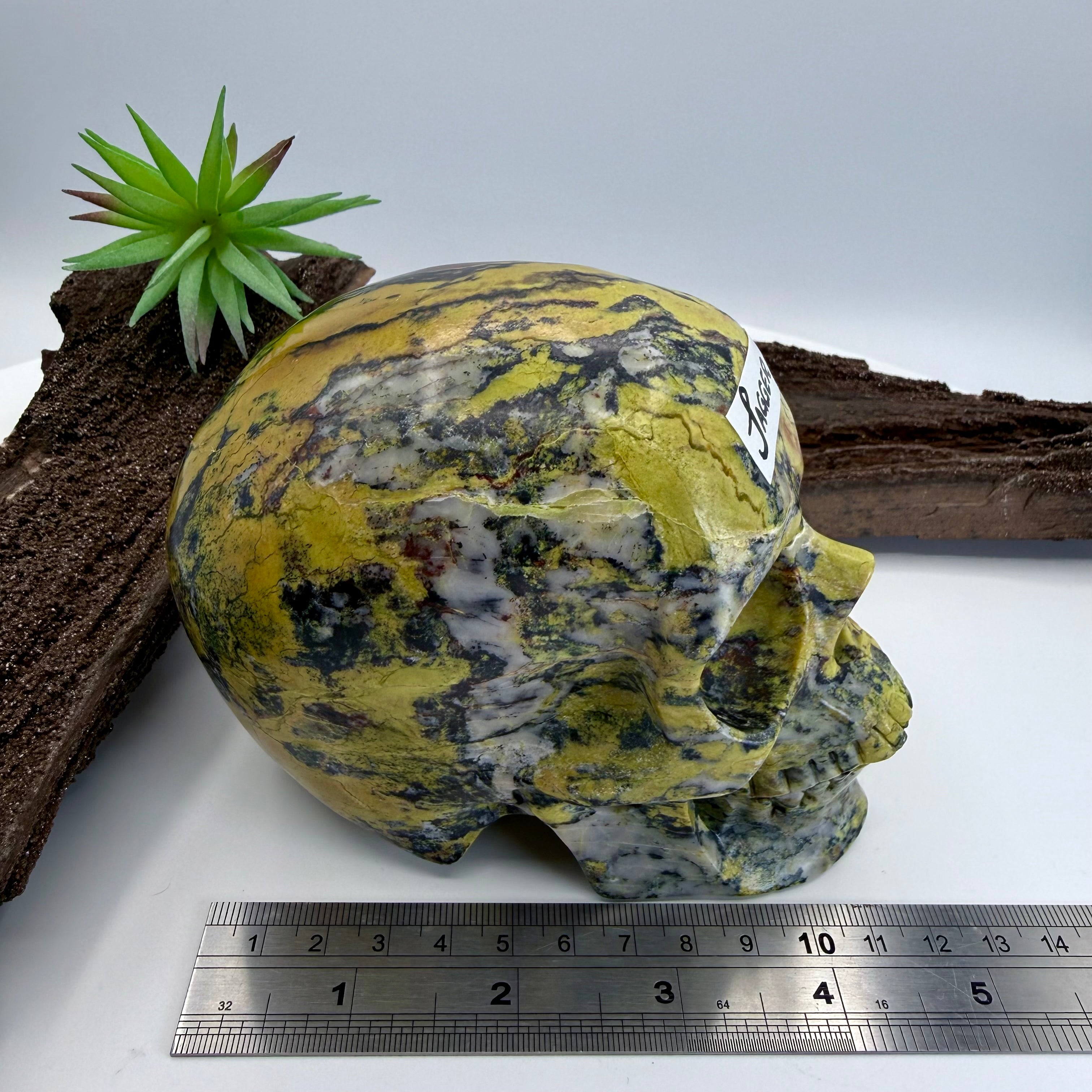 Jagger Hiso Jasper 5 inch Skull