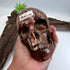 Matilda Australian Outback Jasper 5inch Skull [KJ189]