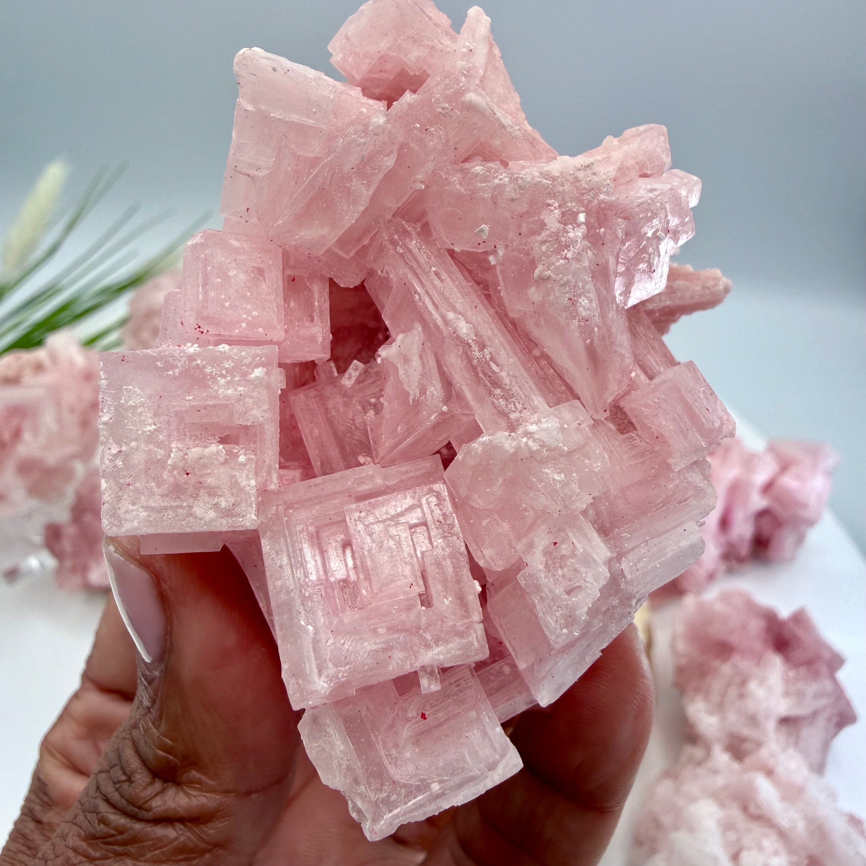Pink Halite