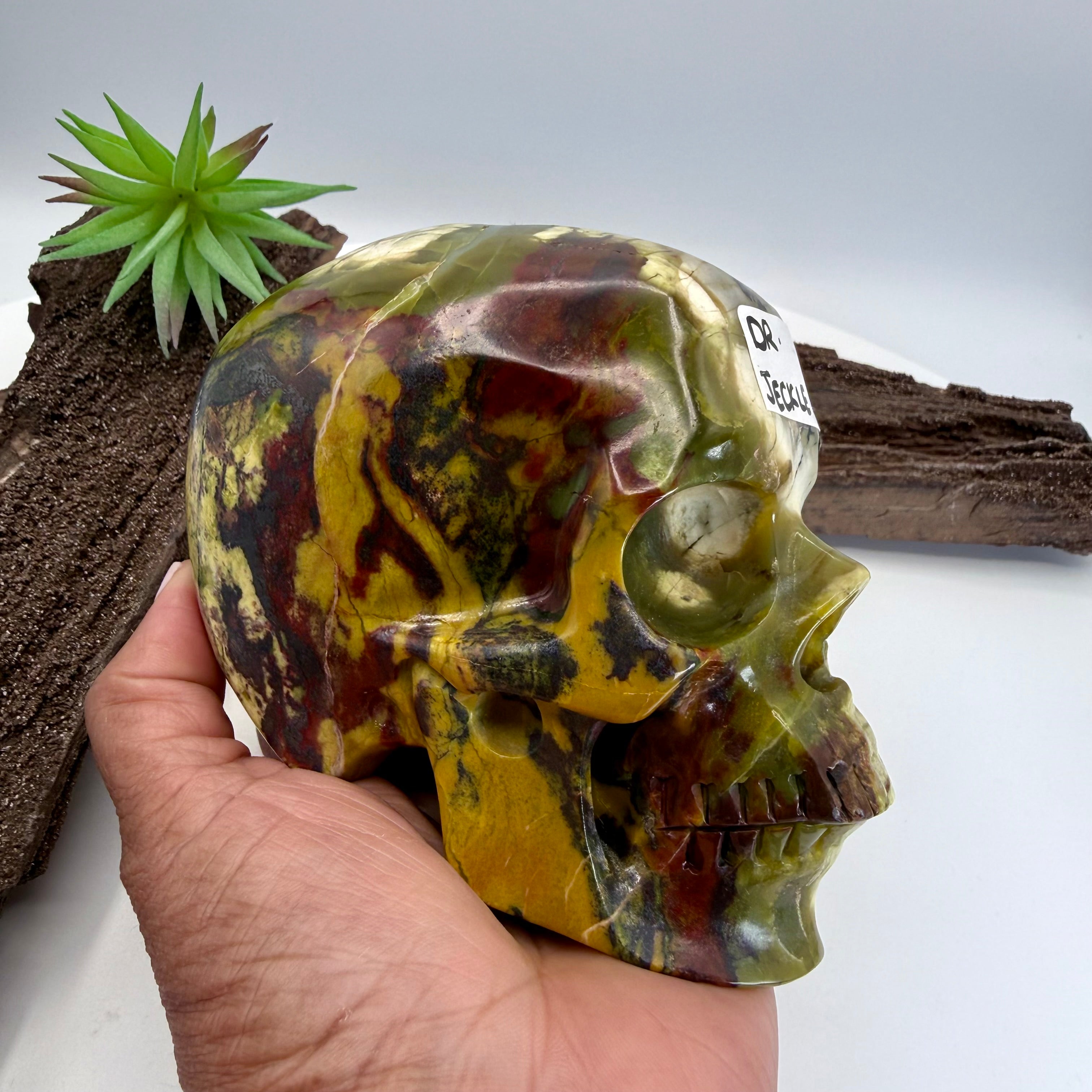 Dr Jeckle Hiso Jasper 5inch Skull [KB244]