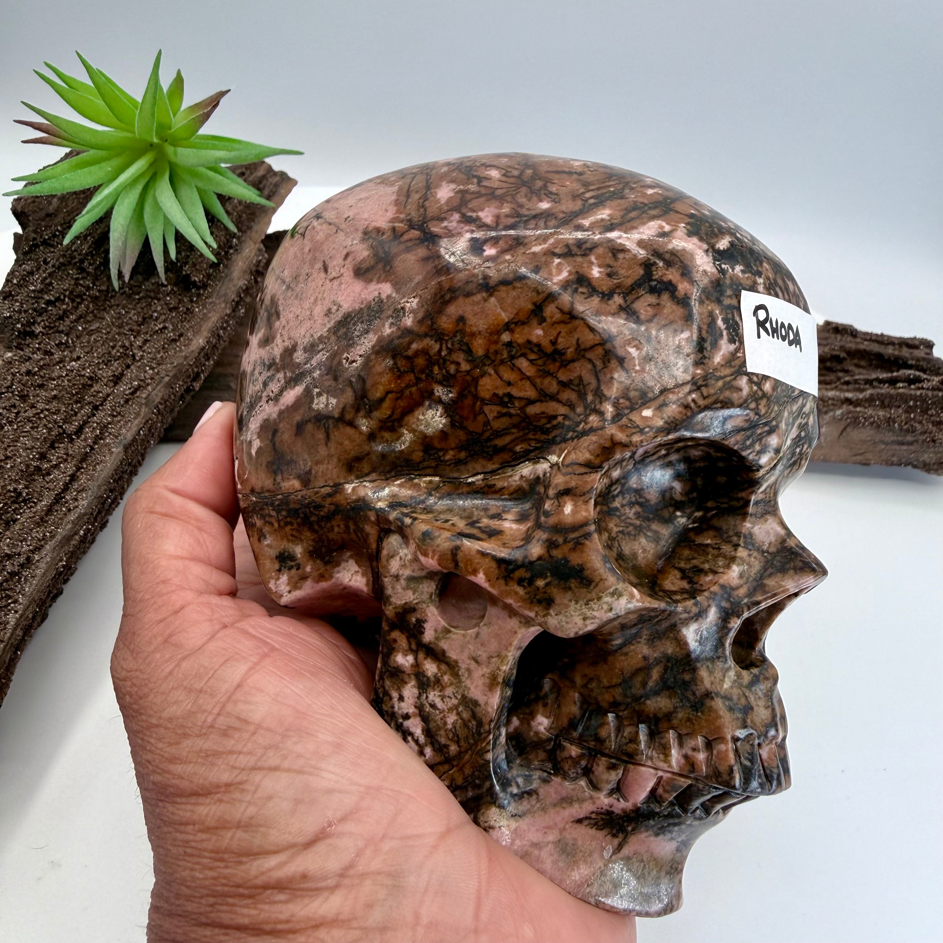 Rhoda Rhodonite 5inch Skull [JY169]