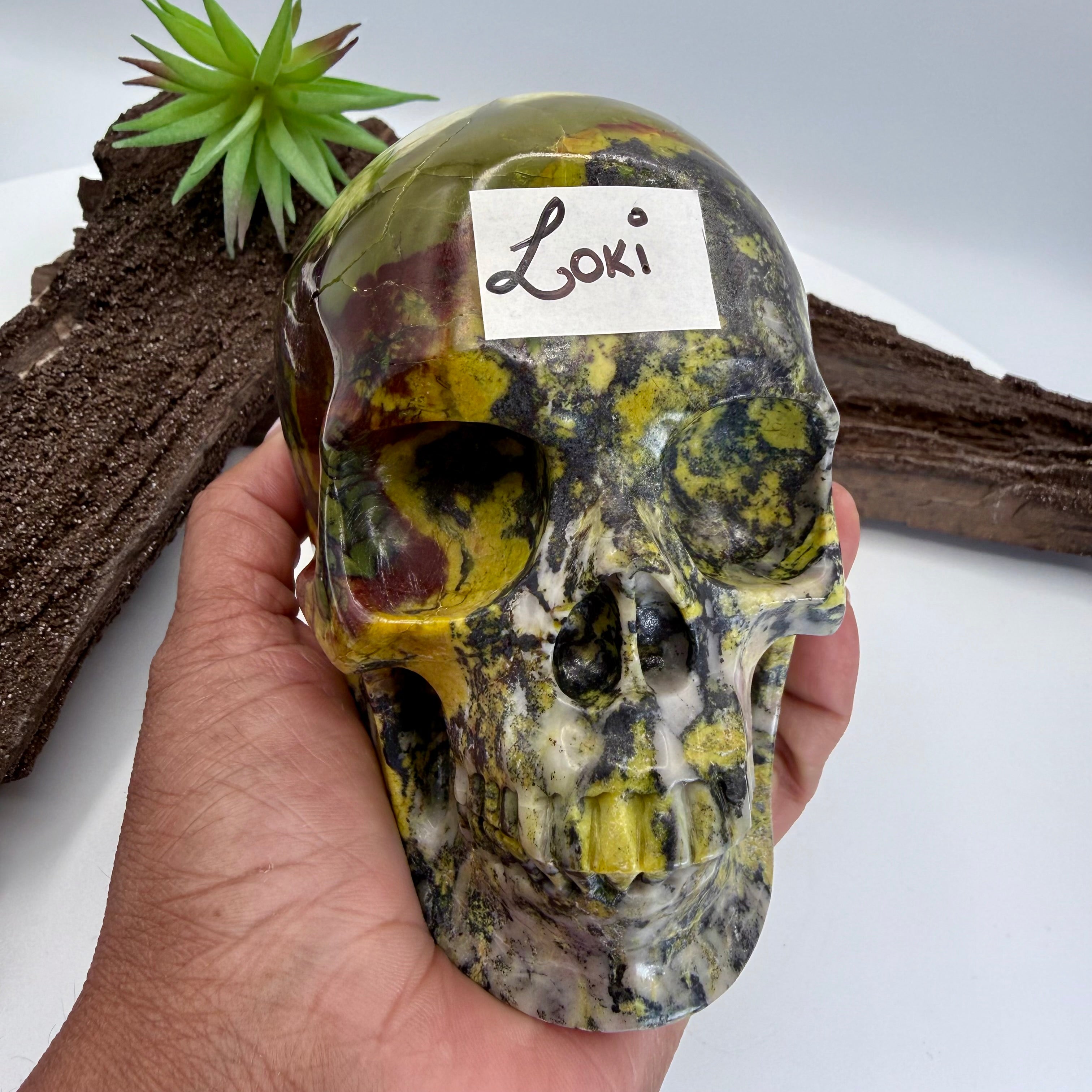 Loki Hiso Jasper 5inch Skull [OC222]