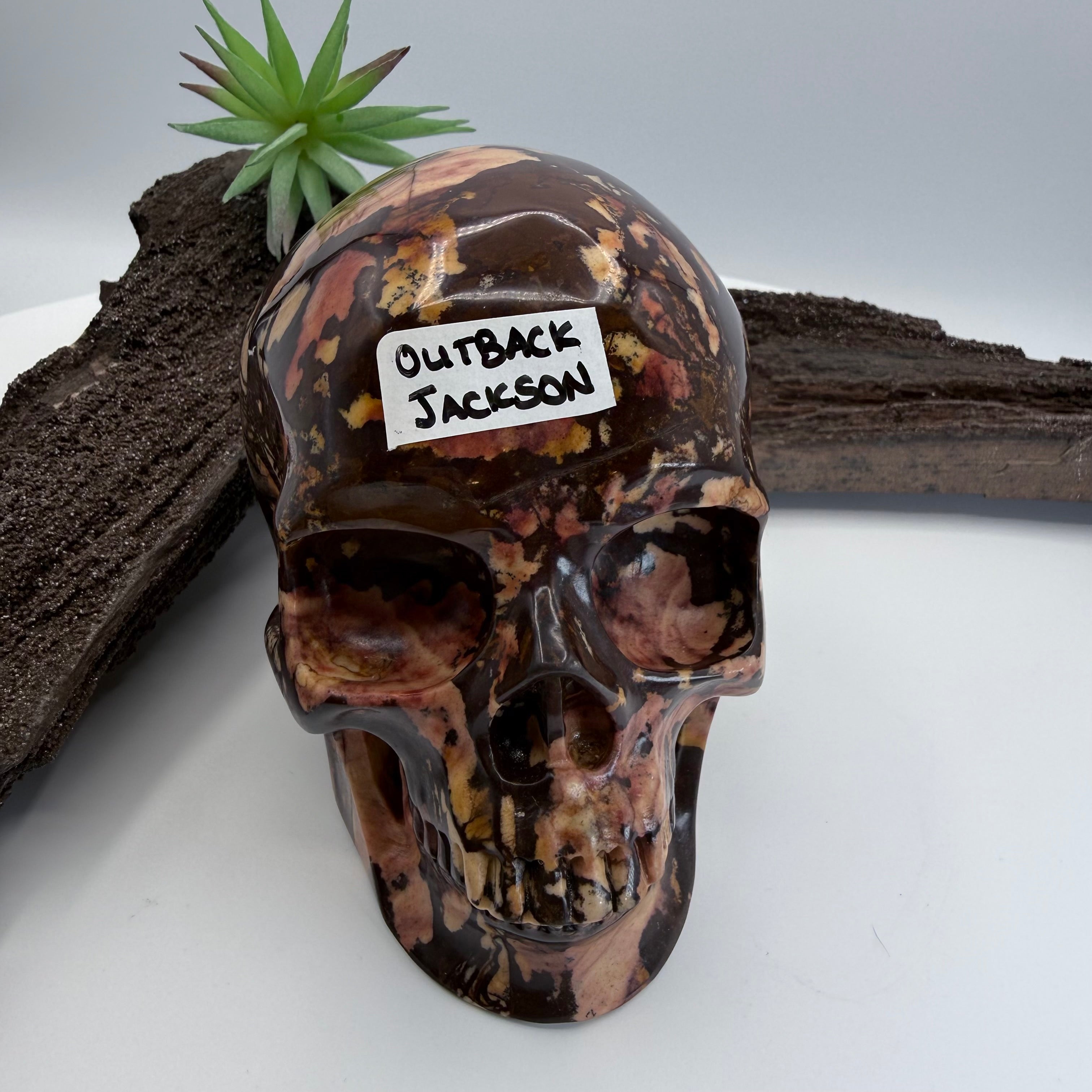 Outback Jackson Australian Outback Jasper Skull 5 inch [OA333]
