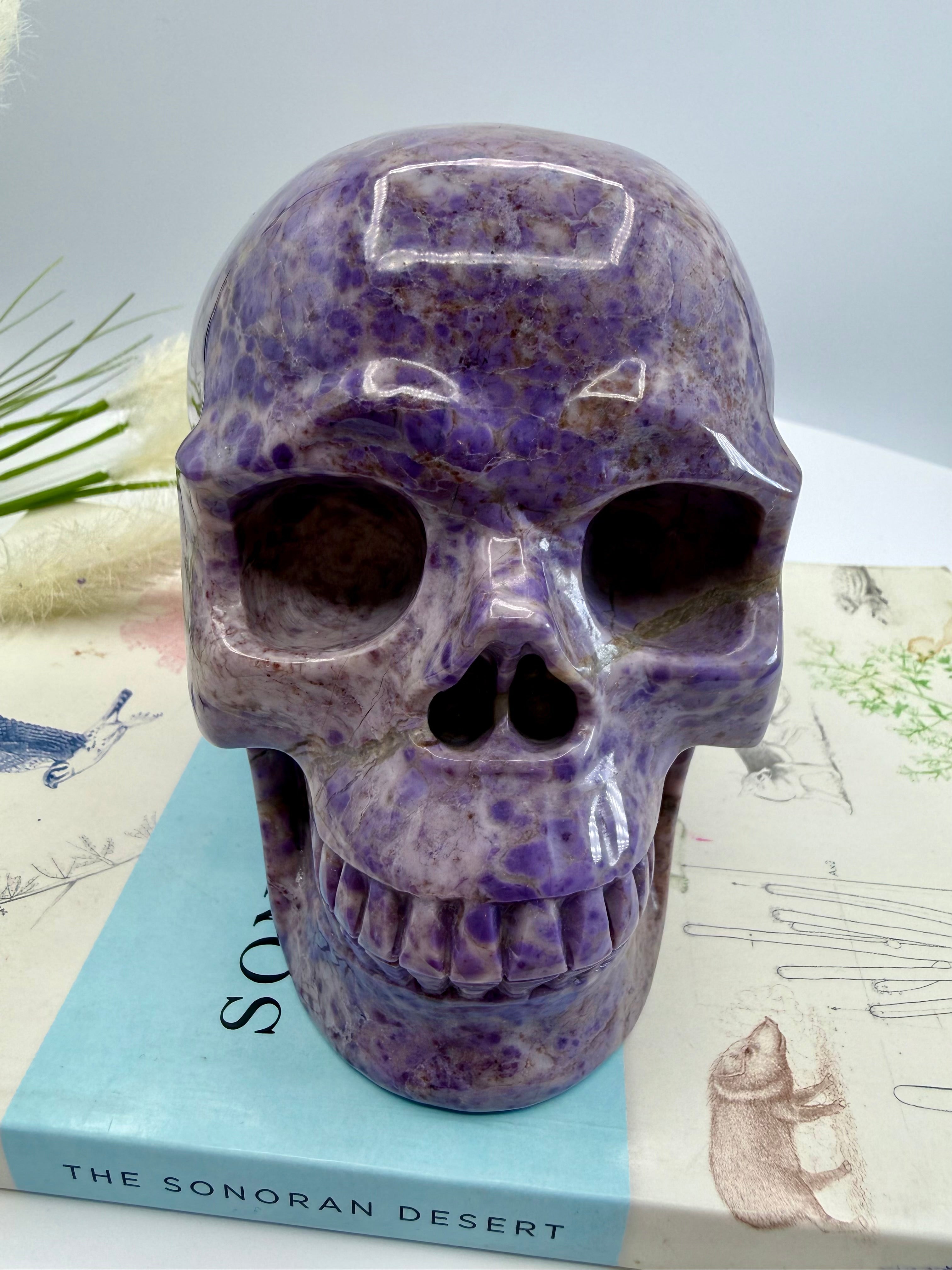 Turkiyenite Skull 5inch (Very Rare Turkish Lavender Jade) [SQ888]