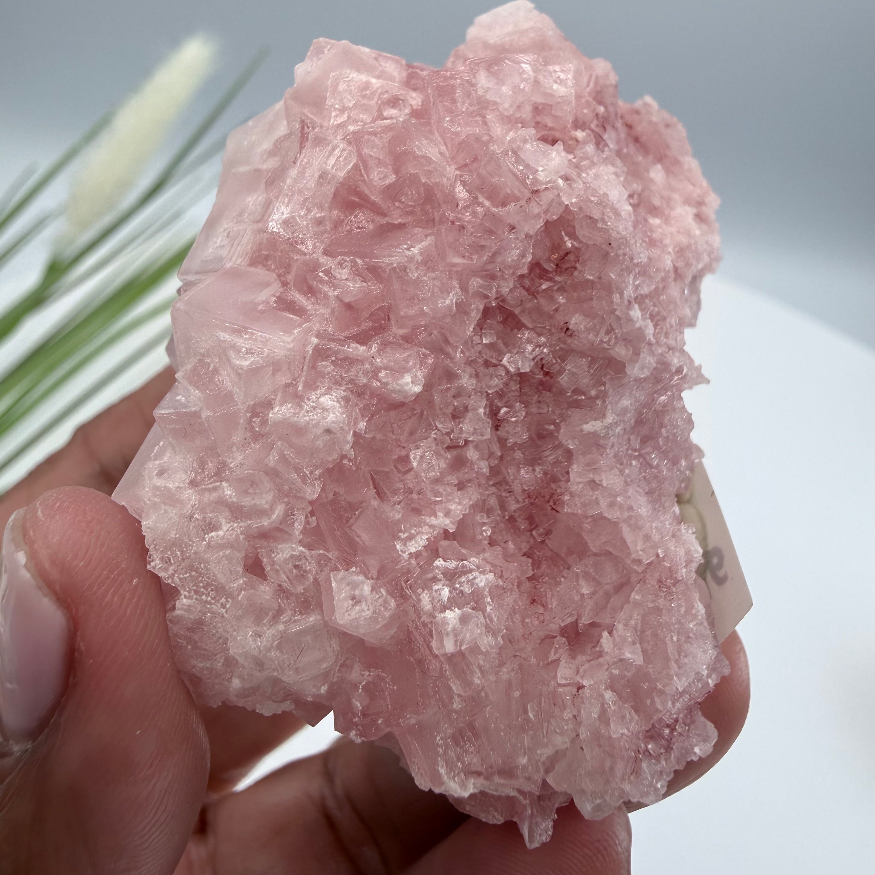 Pink Halite
