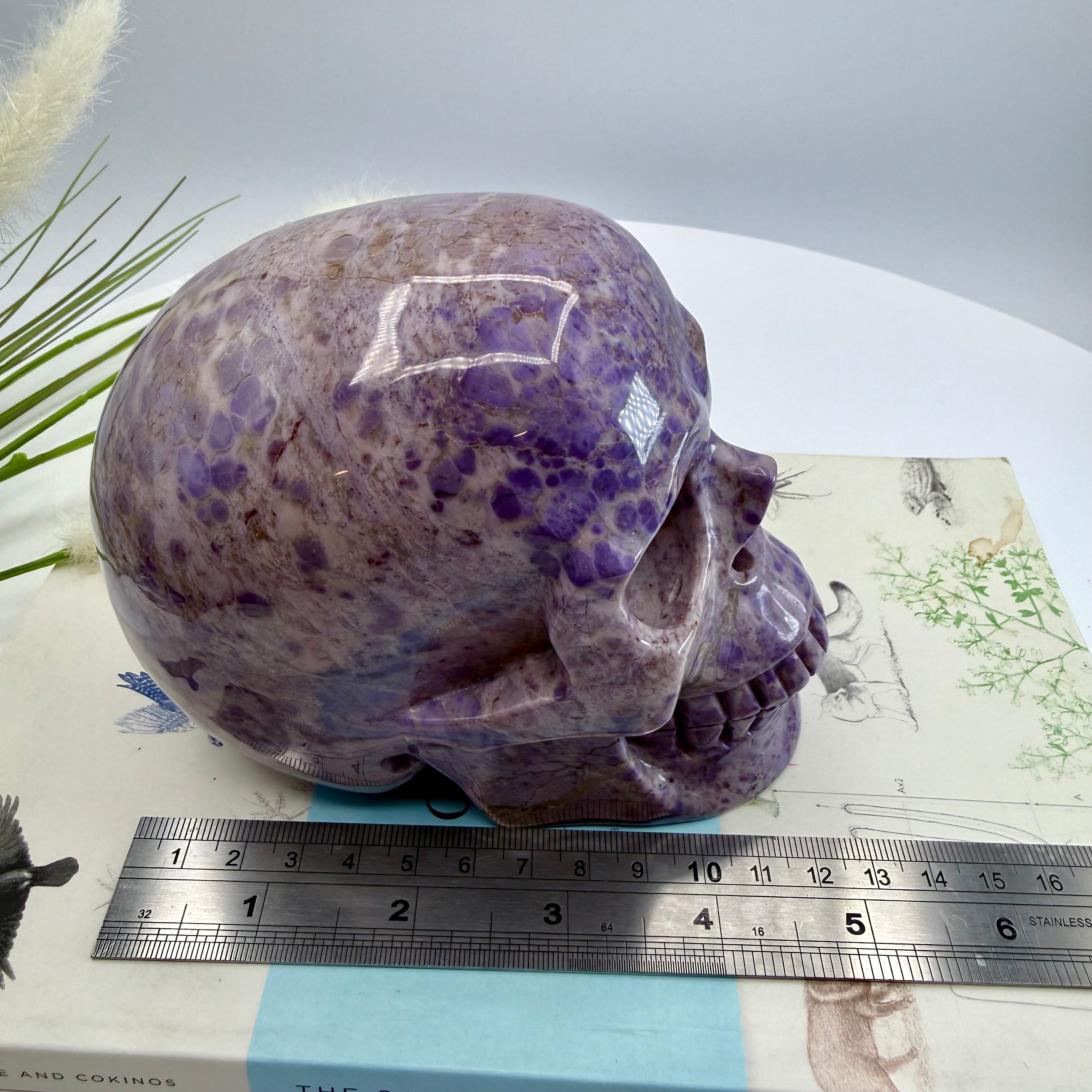 Turkiyenite Skull 5inch (Very Rare Turkish Lavender Jade) [SQ888]