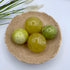 Travertine Bowl - 8x2.5inch