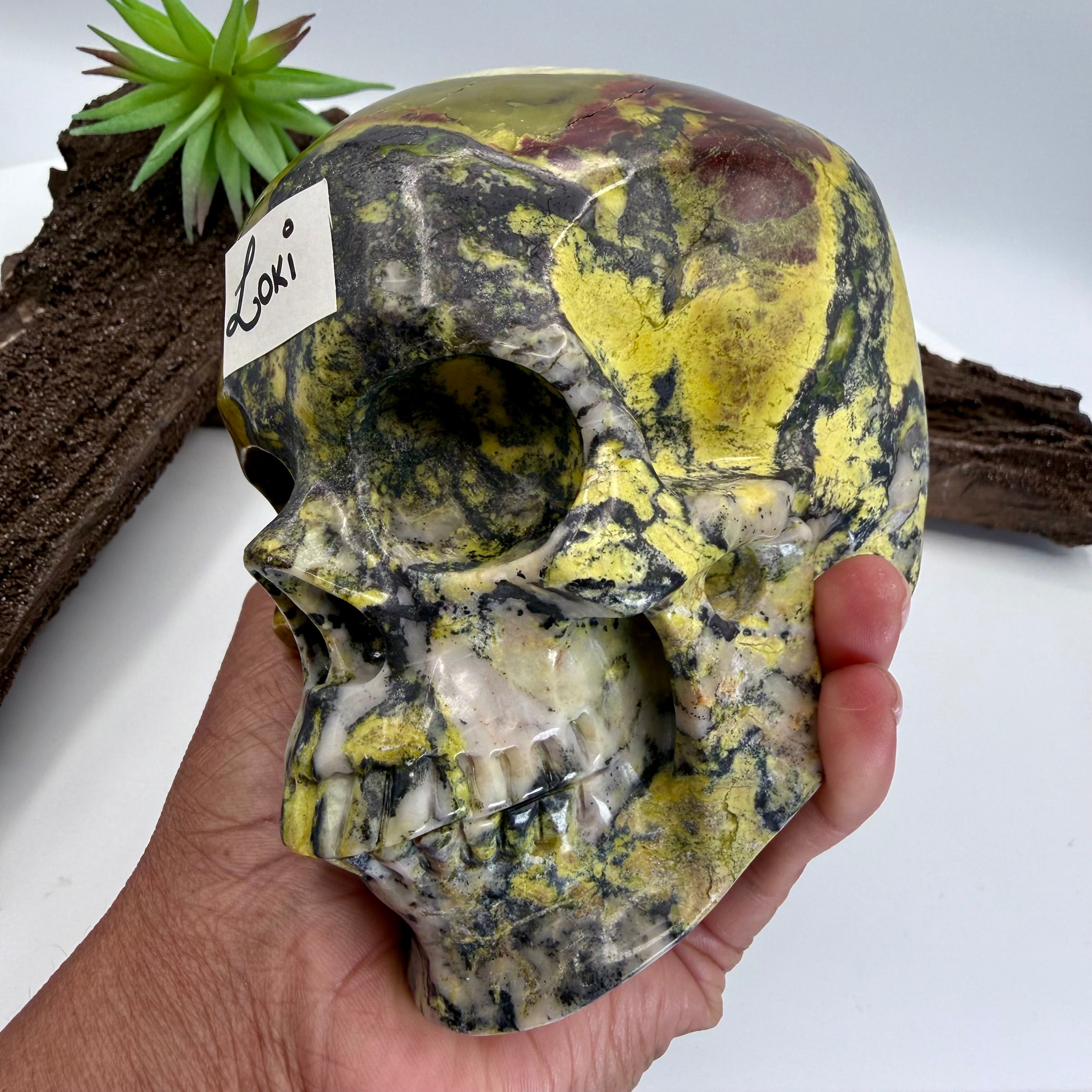 Loki Hiso Jasper 5inch Skull [OC222]